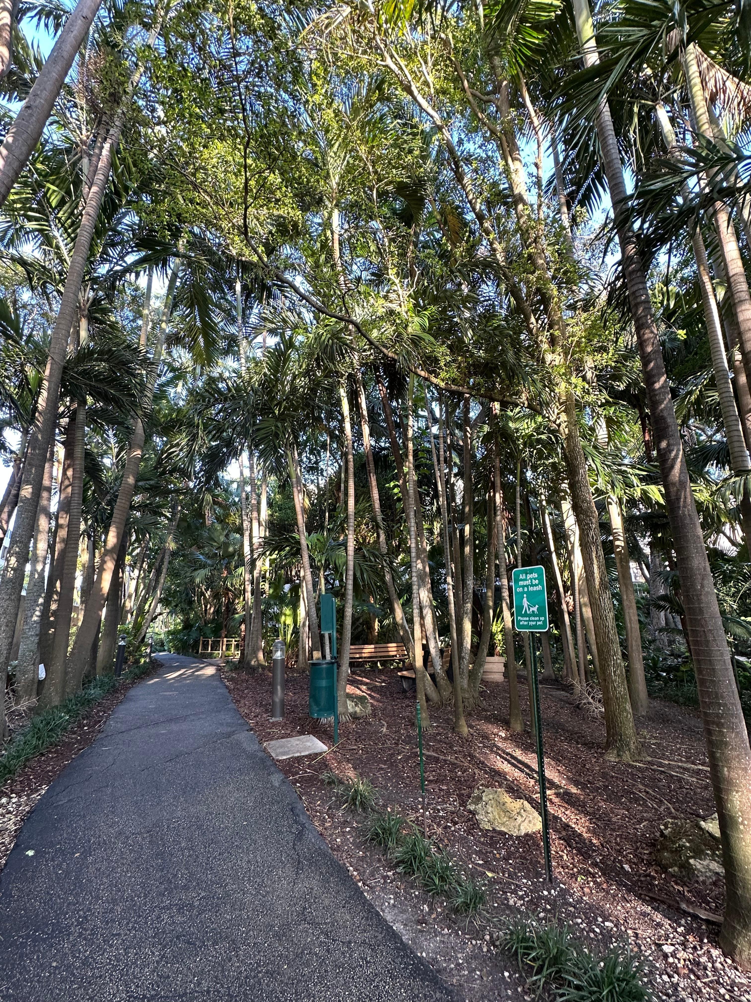 Beautiful walk thru the complex leading to the beach