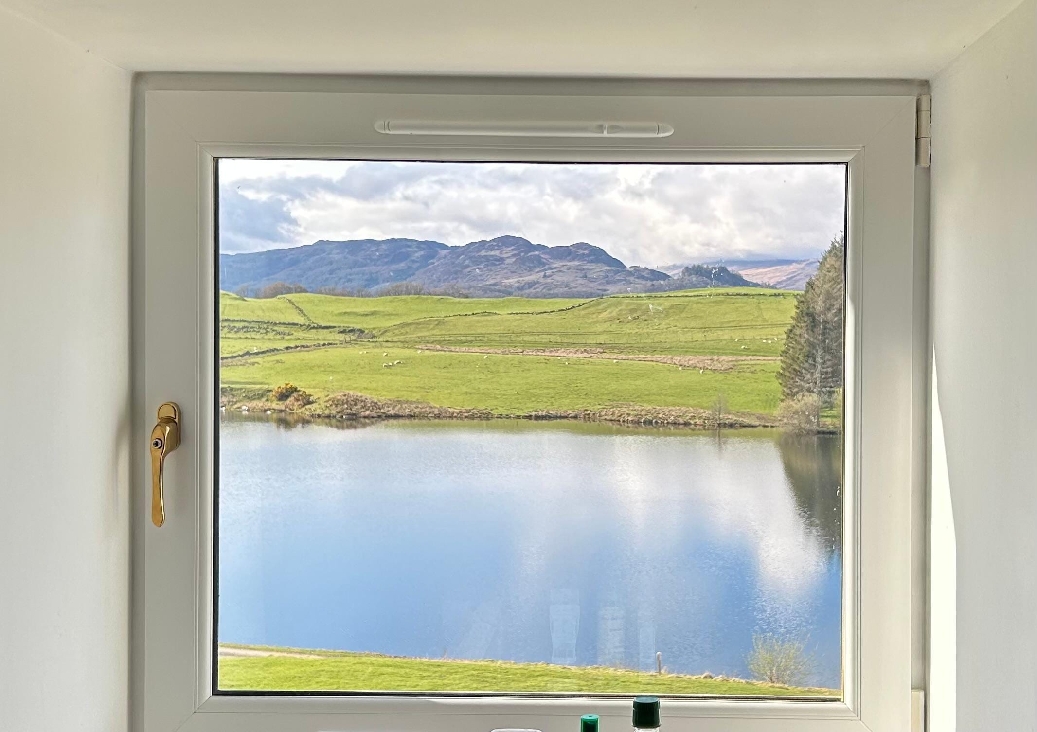 View from the kitchen window. Absolutely amazing.