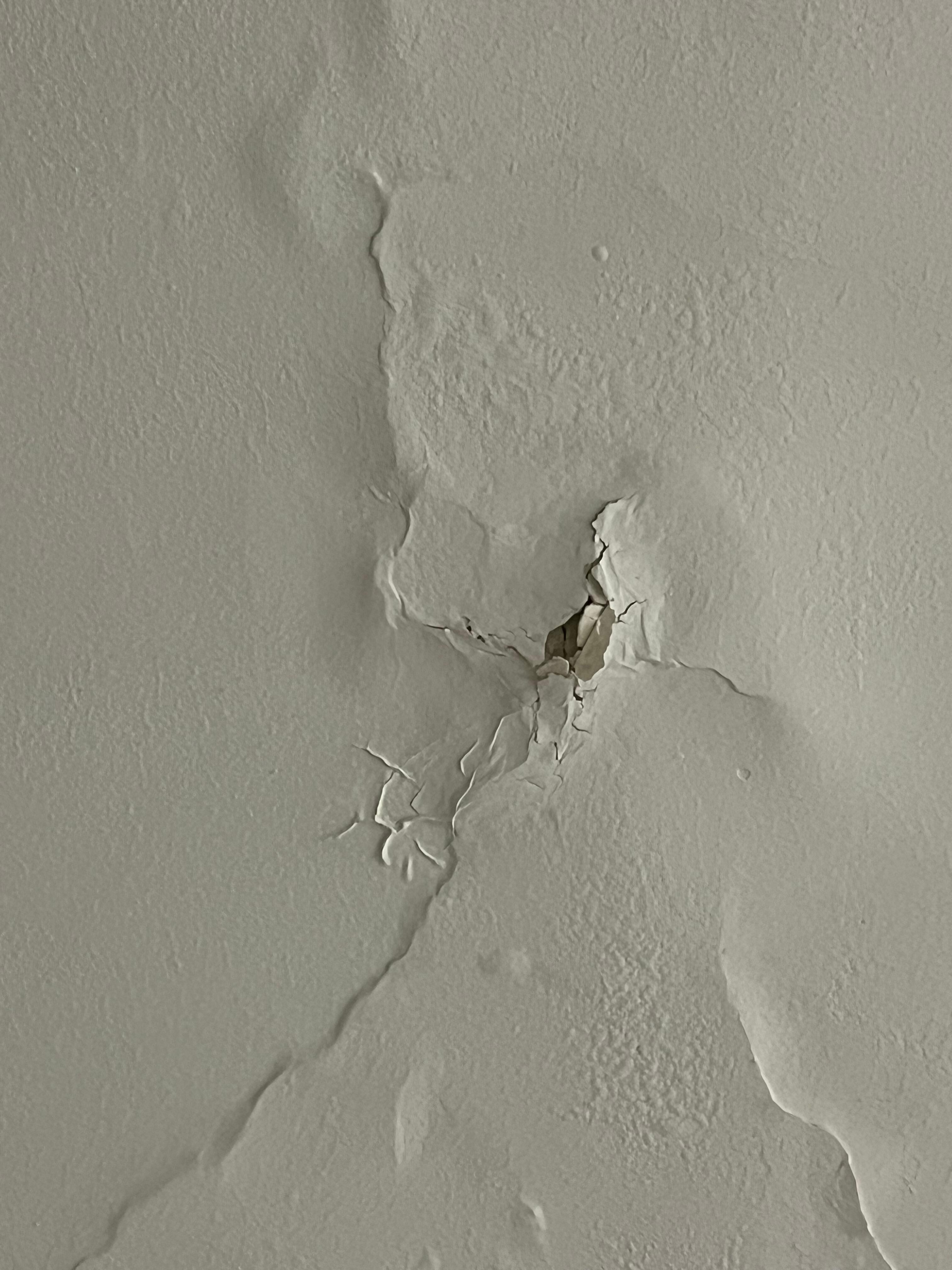 The ceiling leak that they denied was leaking.