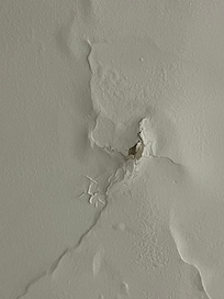 The ceiling leak that they denied was leaking.