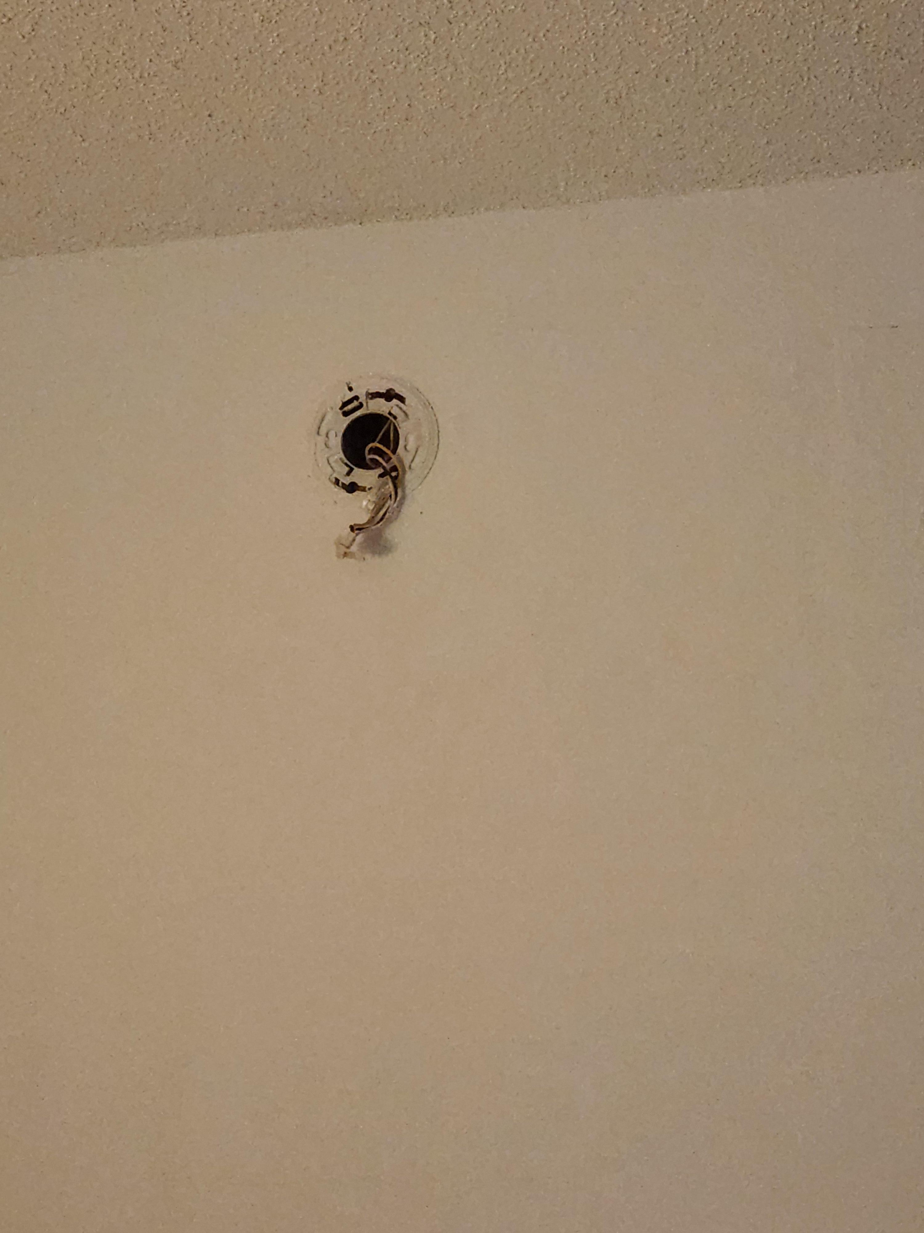 No smoke detector