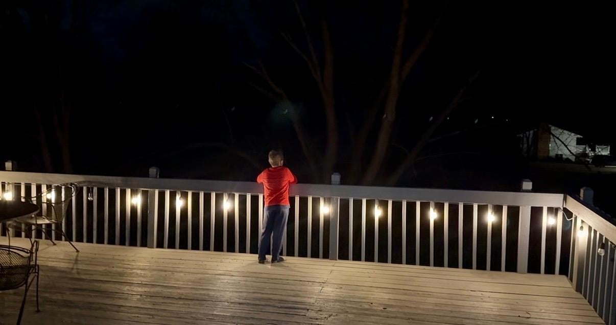 Listening to the frogs sing at night.