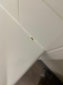 Dried up monthly blood