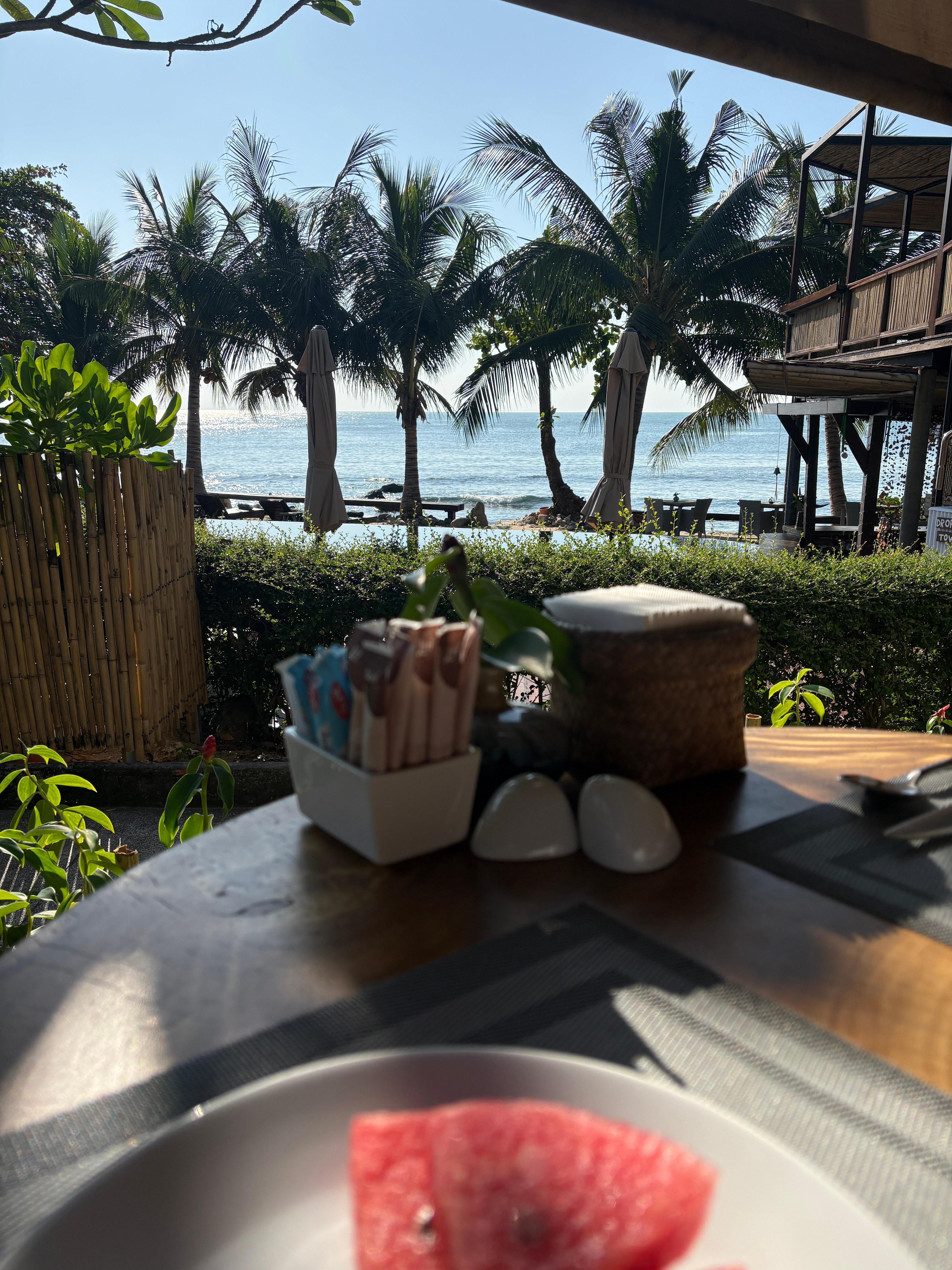 Blick vom Restaurant Richtung Meer. 🌊 