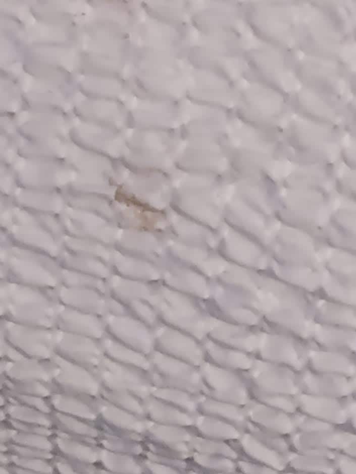 food stains on one of the beds