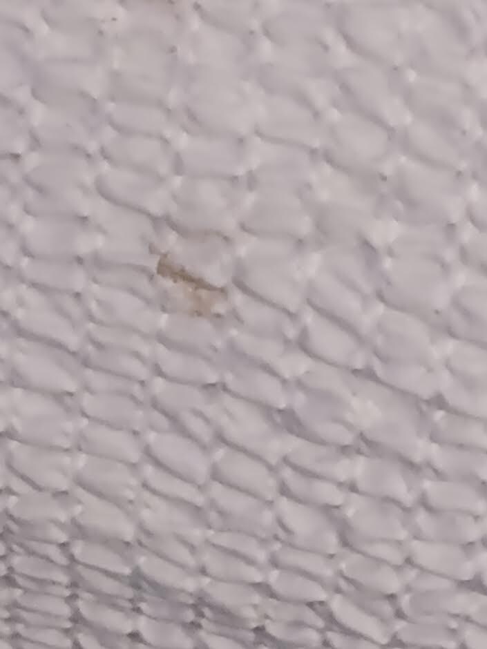 food stains on one of  the beds