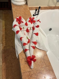 Housekeeping often left these daily