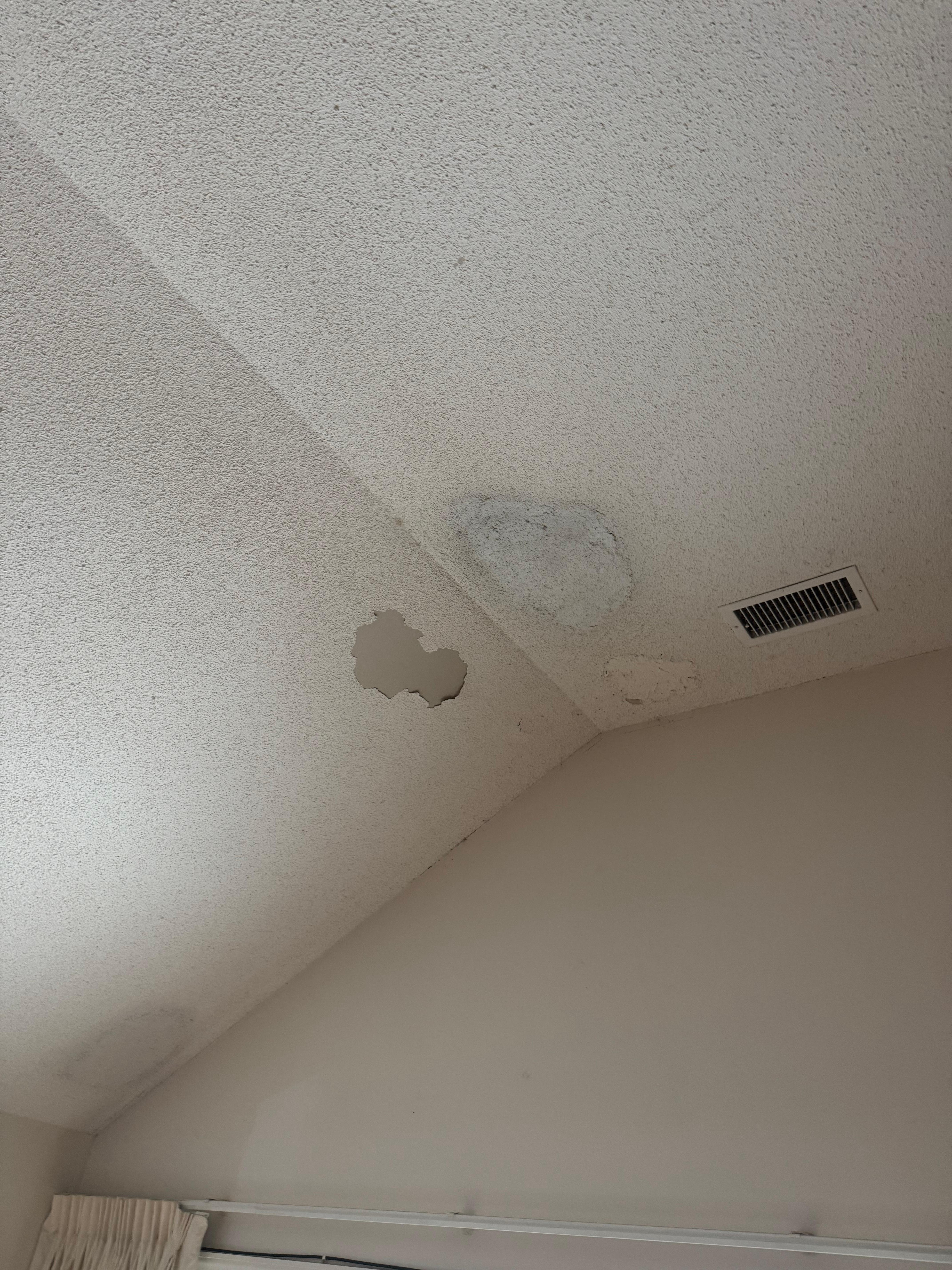 Paint and popcorn ceiling falling down in large sheets