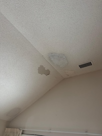 Paint and popcorn ceiling falling down in large sheets