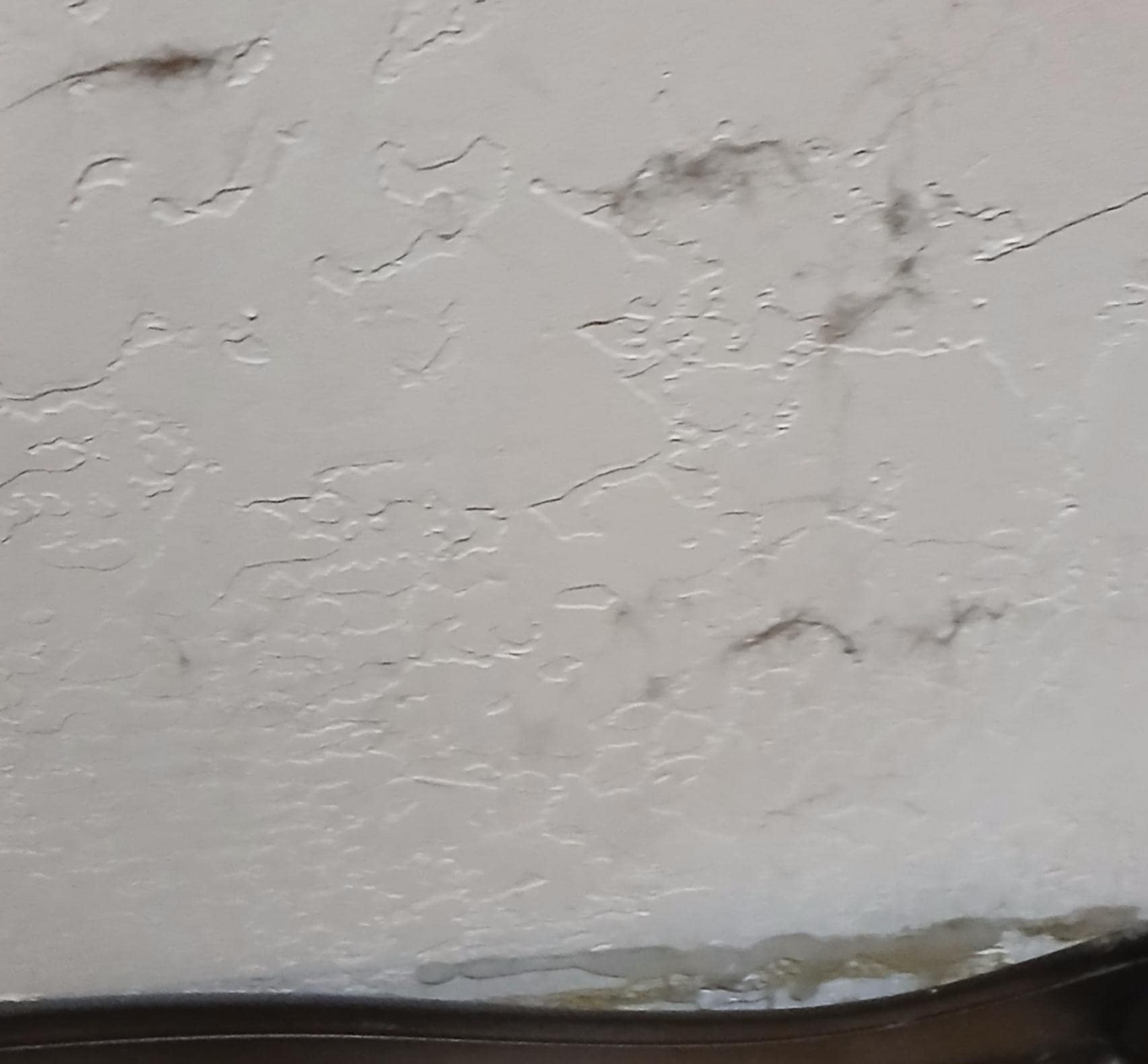 Blood stains, pretty fresh on the comforter in 2 spots. I didn't get the other stain on camera.