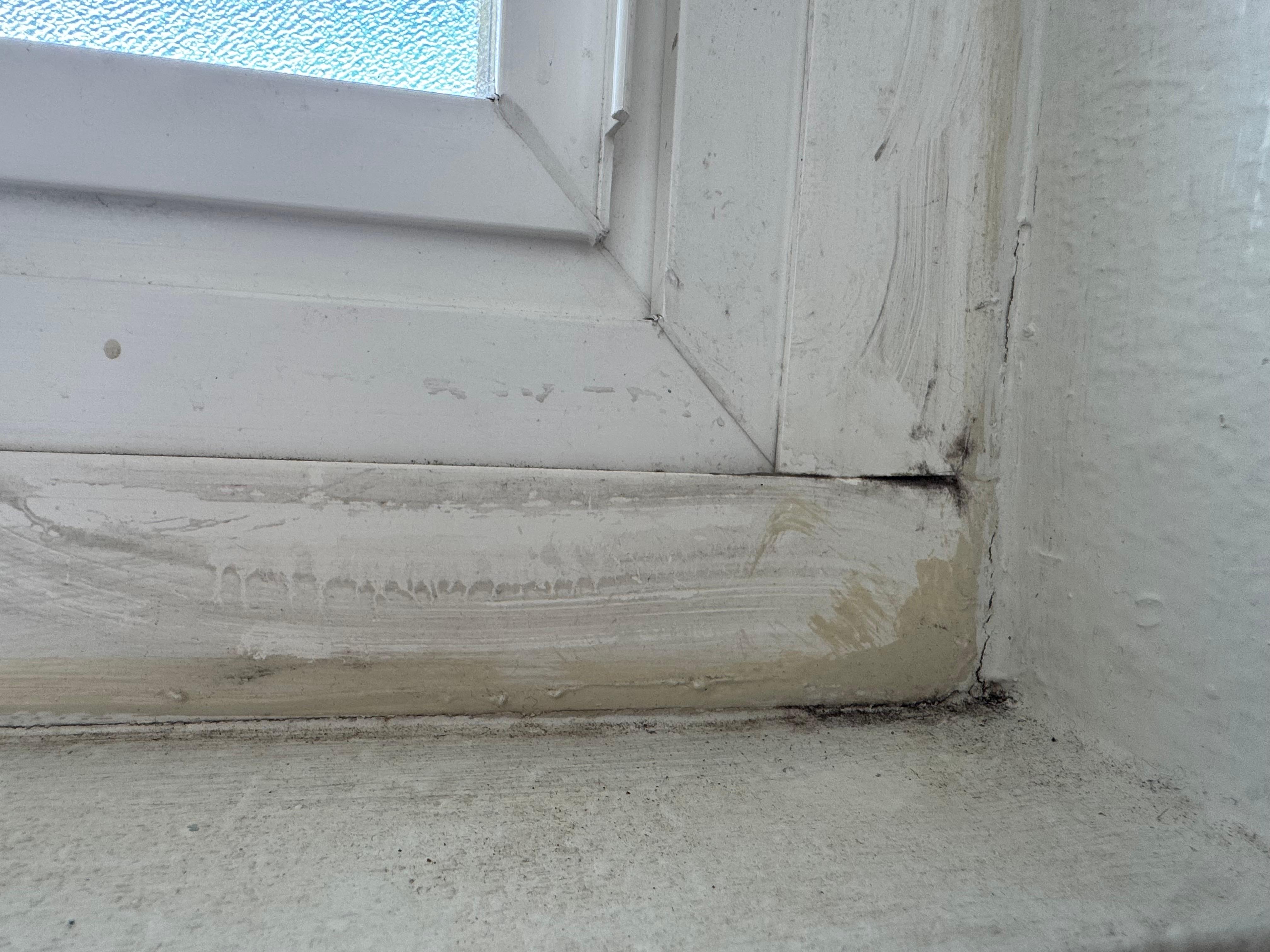 They tried to paint over the mold
