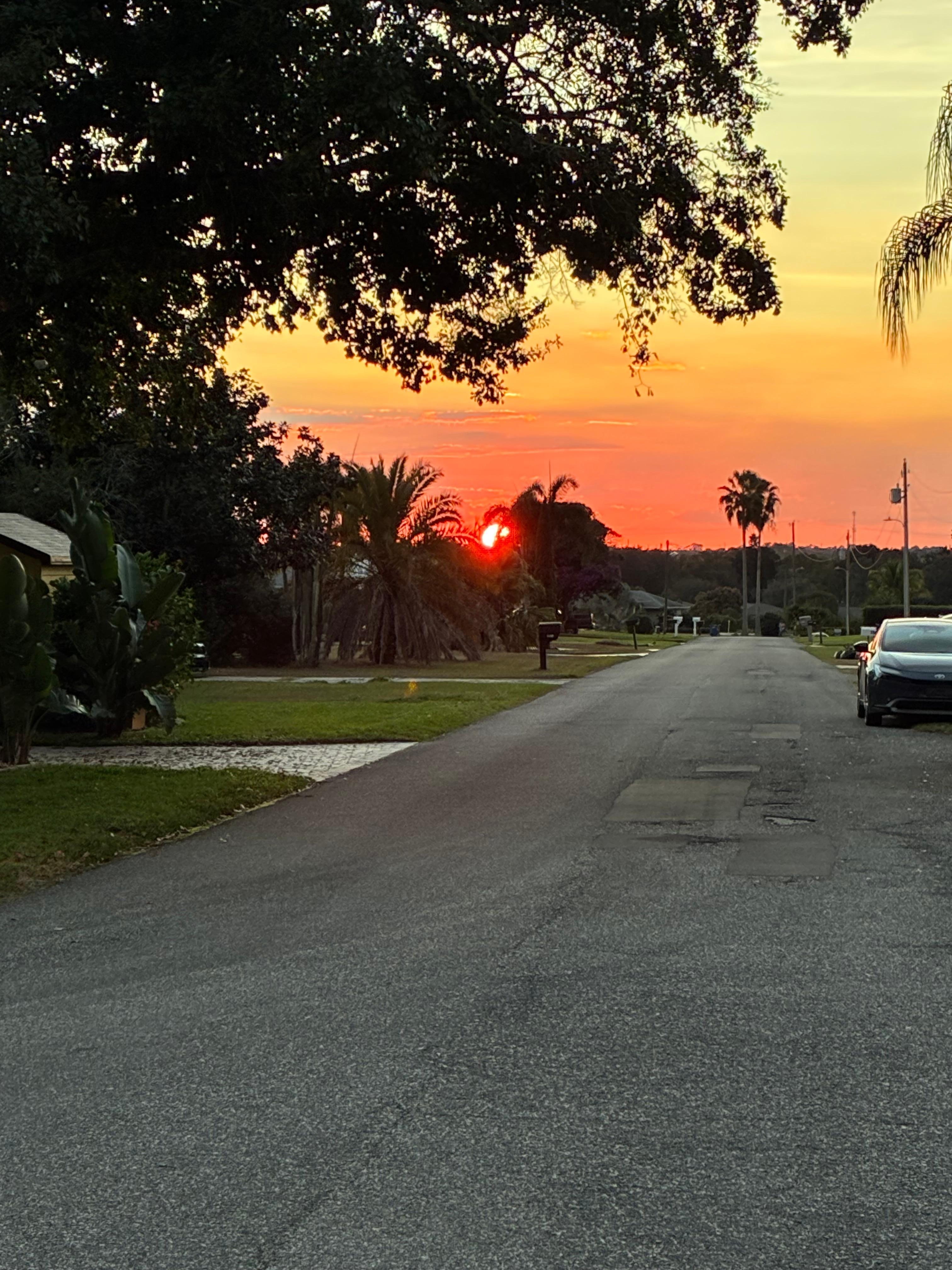 Neighborhood street at sunset 