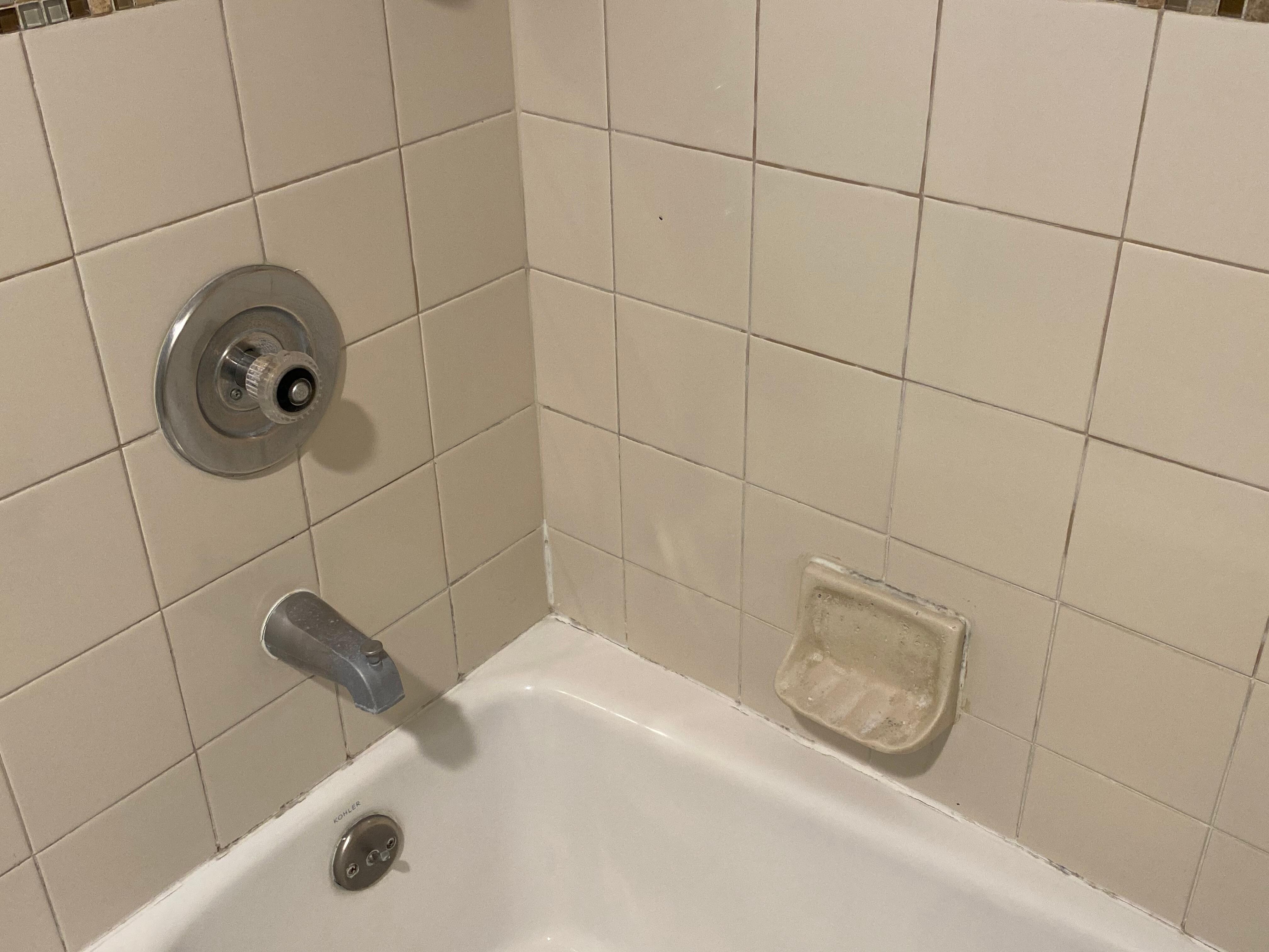 Disgusting shower/bathtub