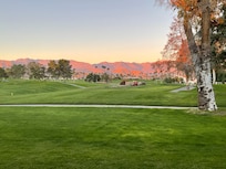 The view from the patio