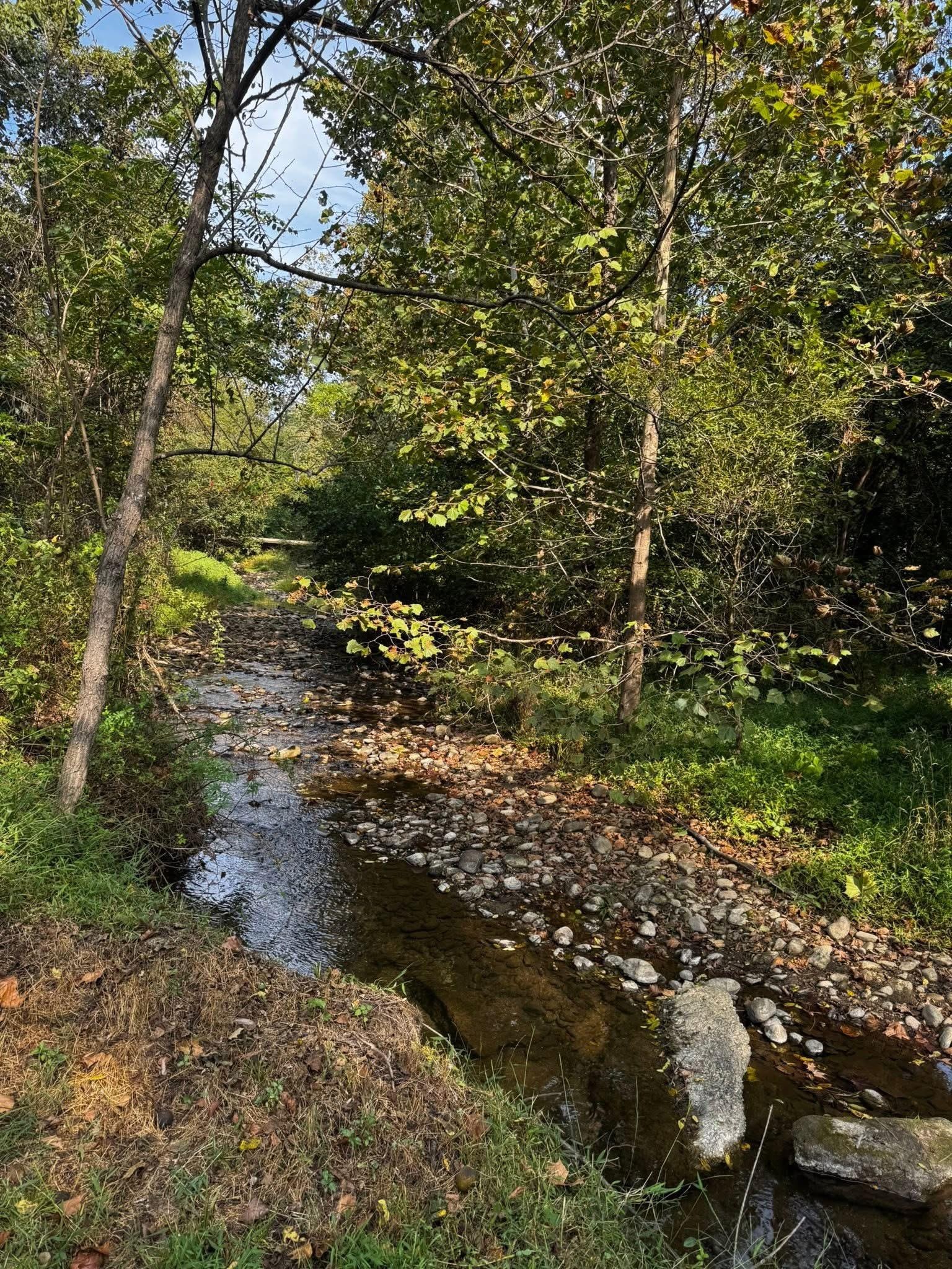 Creek that runs through the property