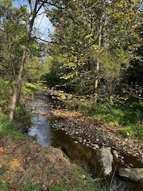 Creek that runs through the property