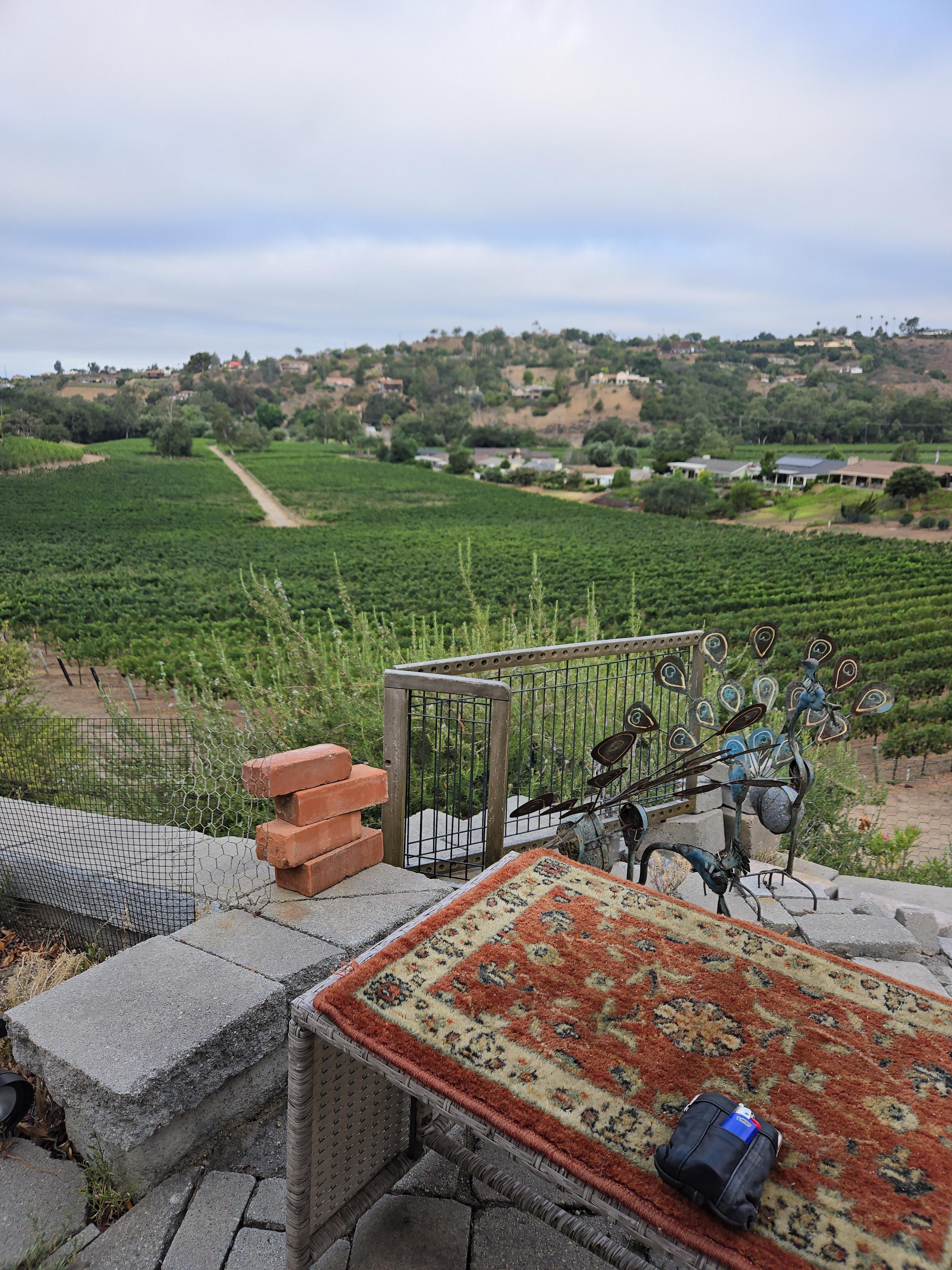 Great views of the winery. 