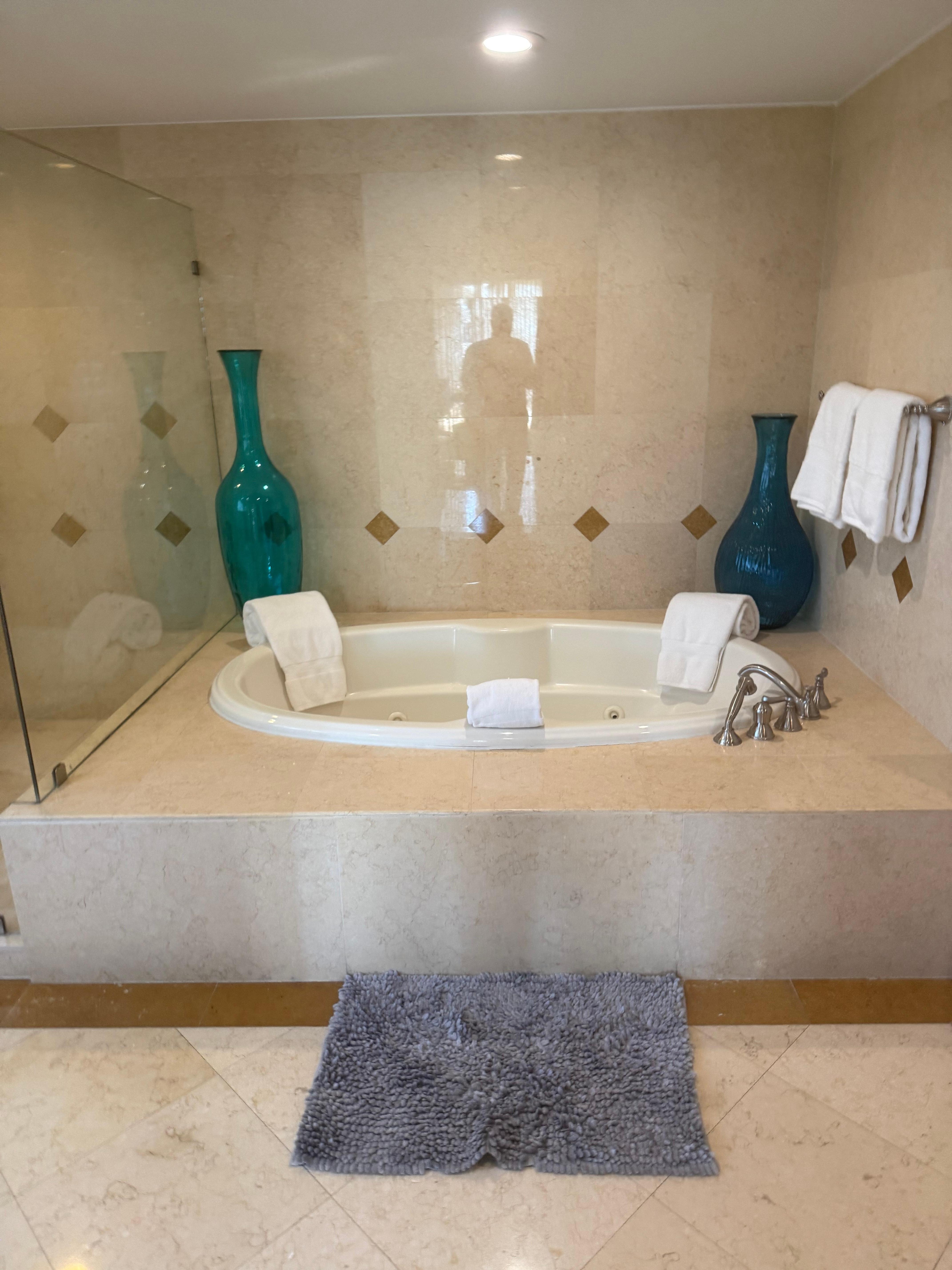 Master bath tub/jacuzzi