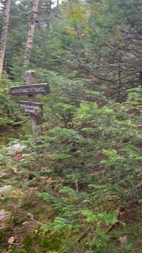 The Hellbrook trail up Mt Mansfield is brutal.