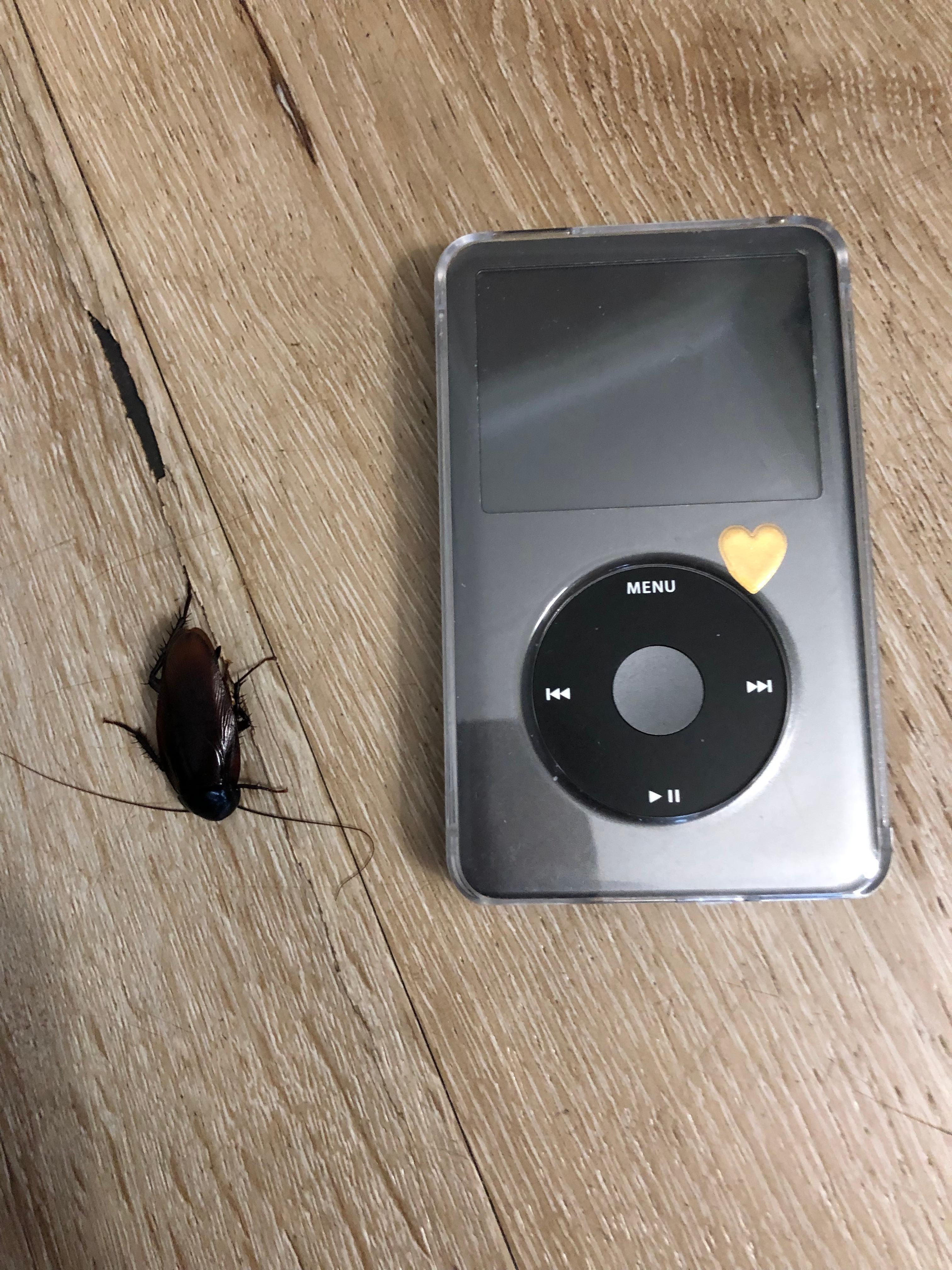 I’m old-school and still use an iPod, so used it for size comparison. 