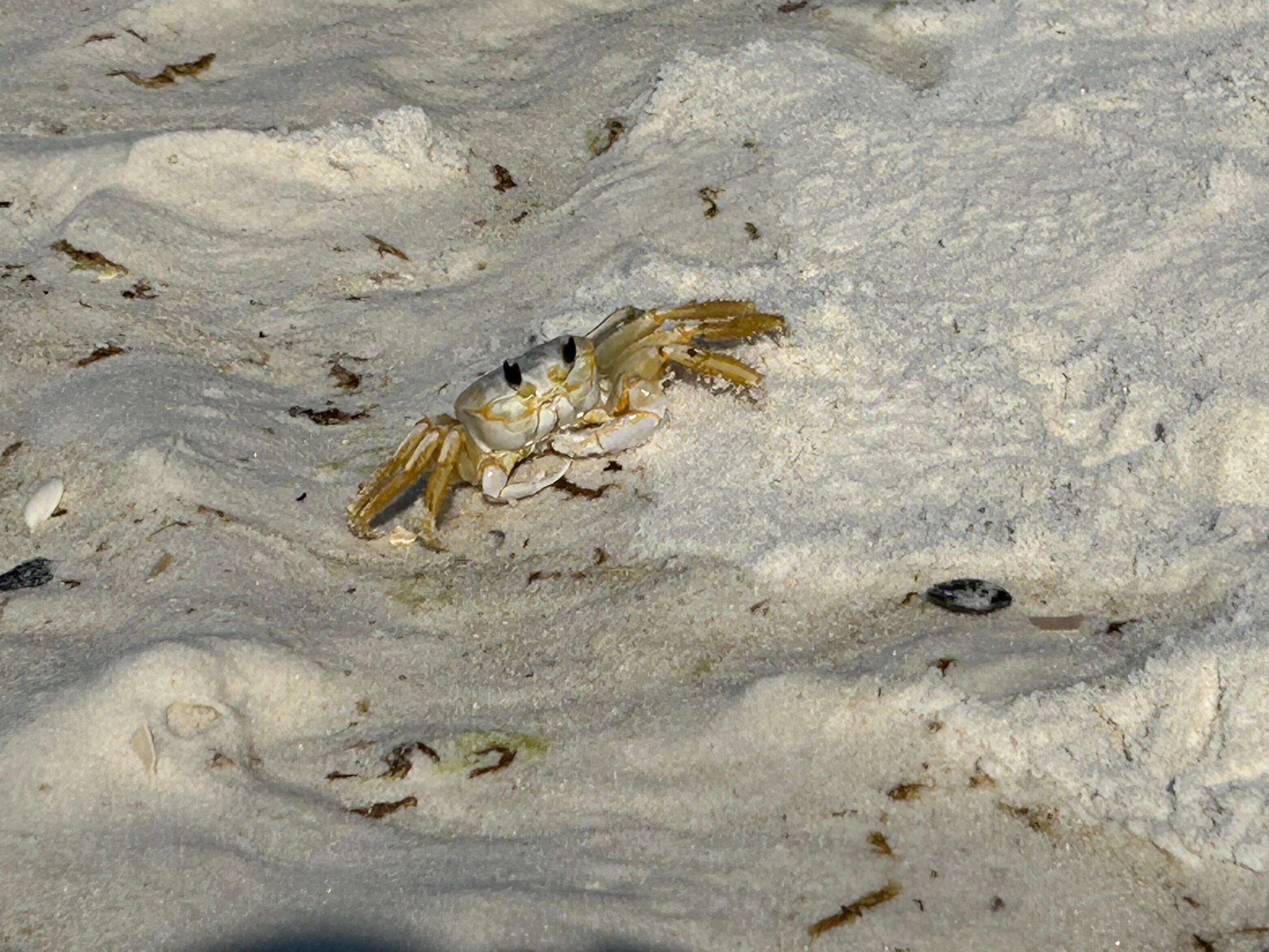 On the beach at resort