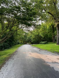 Morning walks