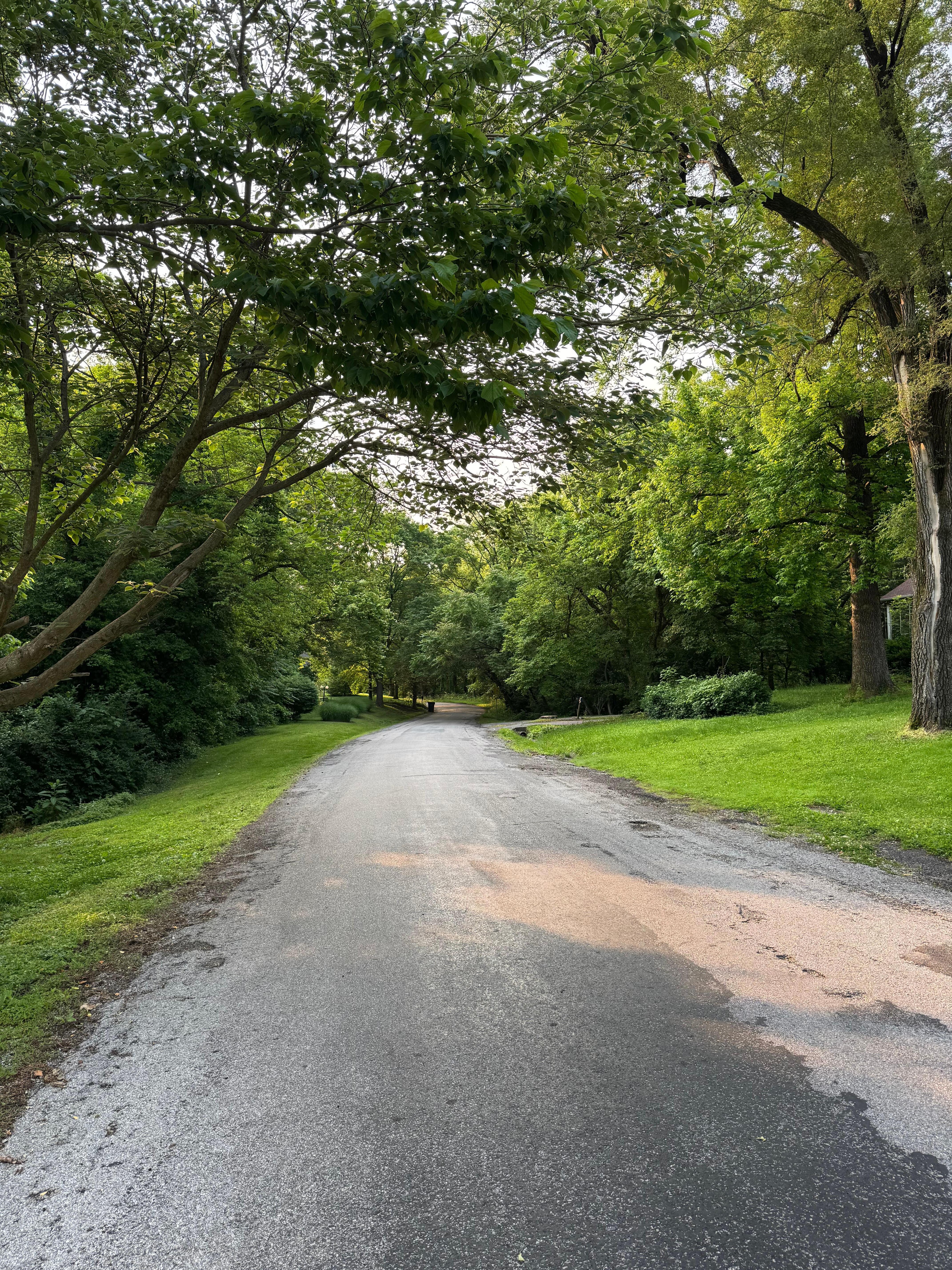 Morning walks