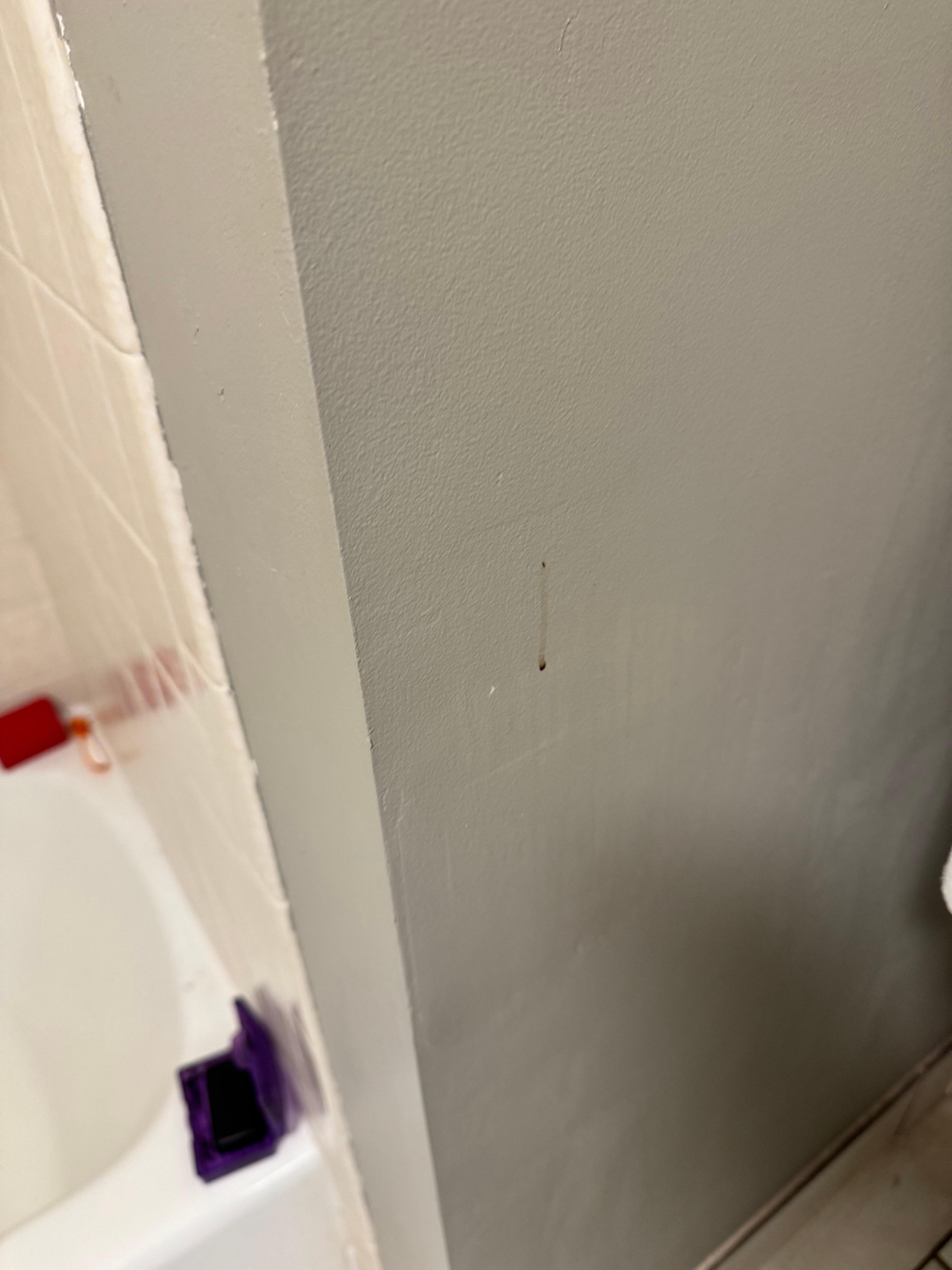 Spots on walls