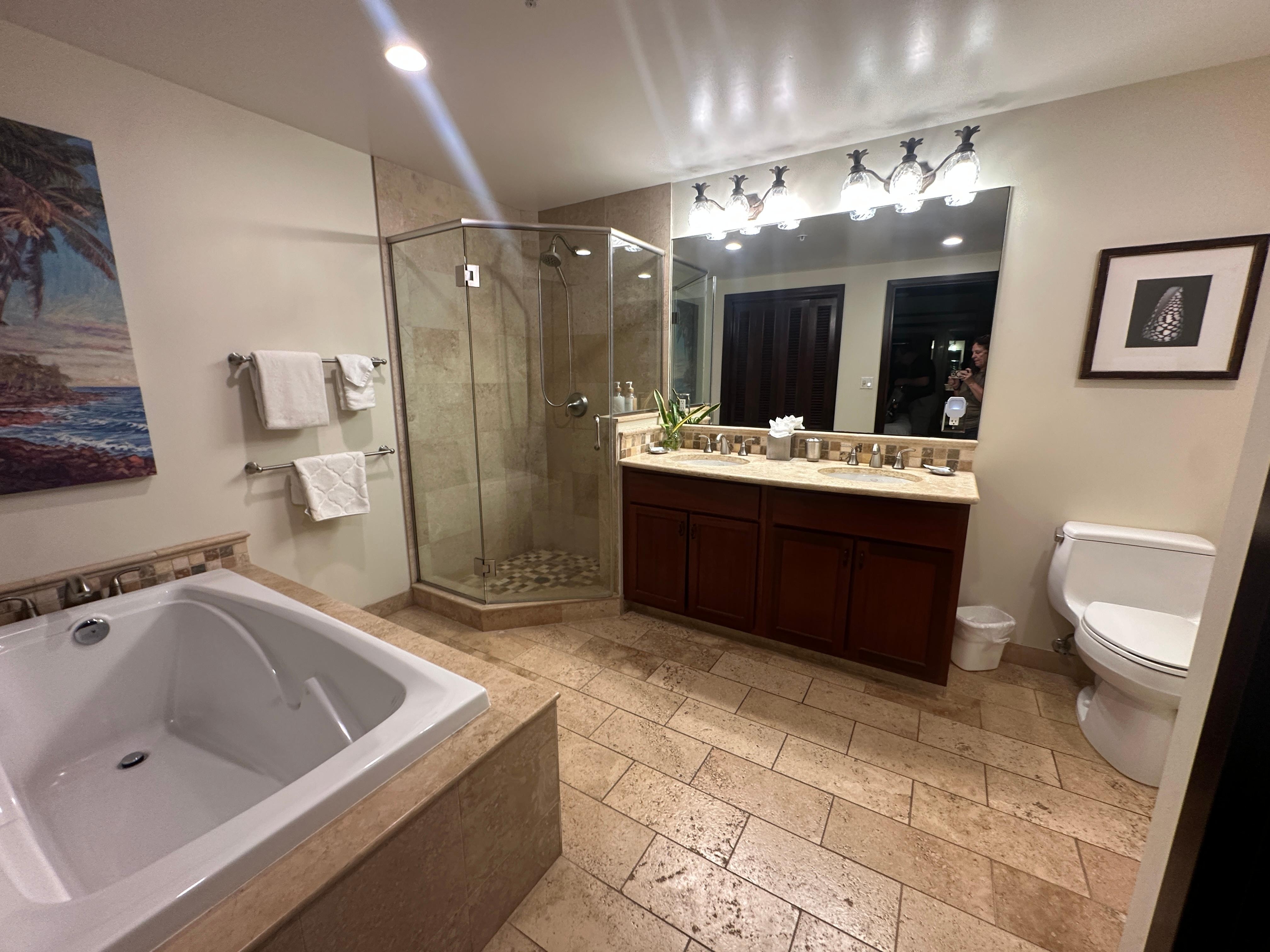 the master bathroom