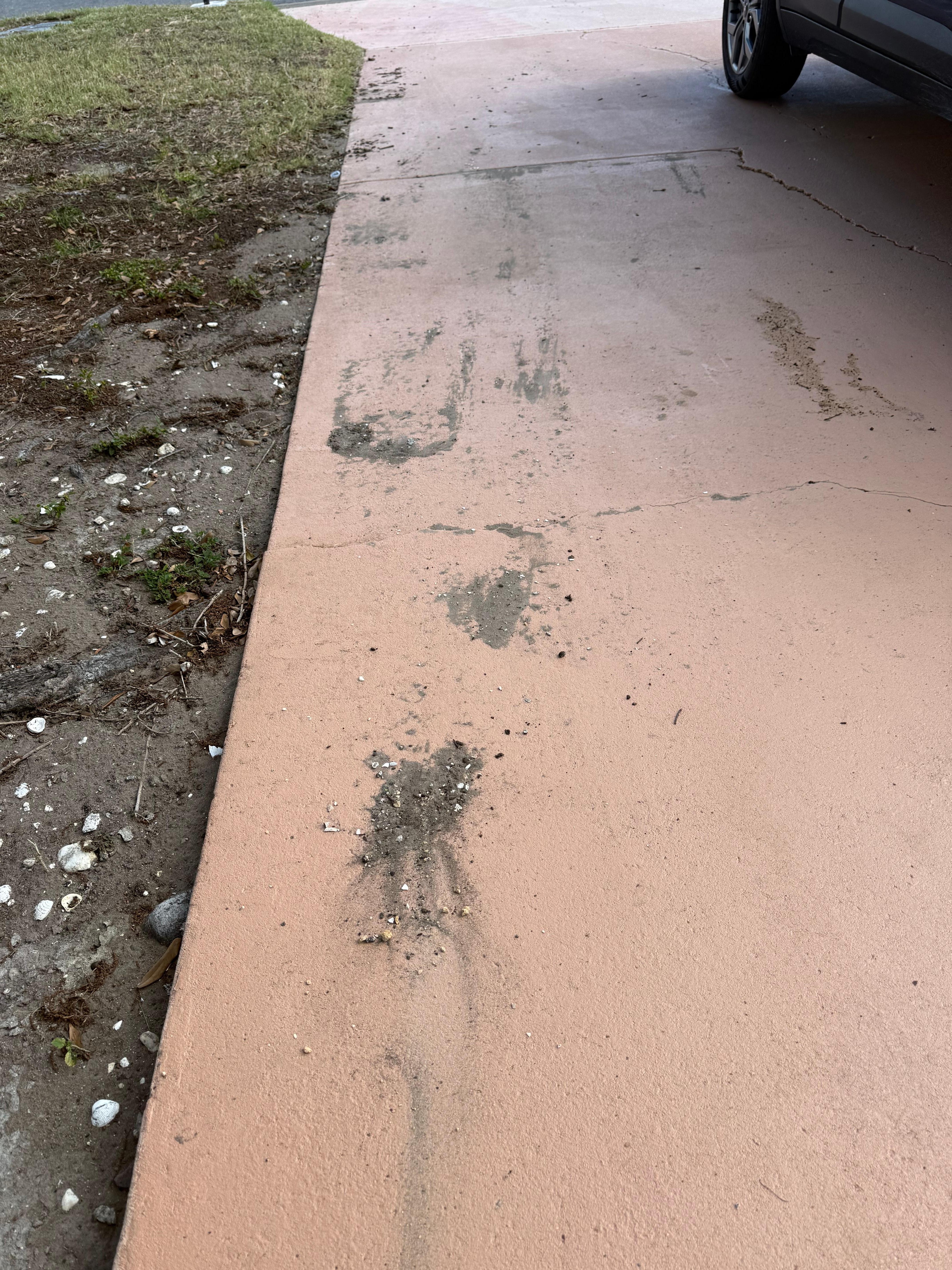 Mud in driveway on arrival- speaks to property readiness for guests