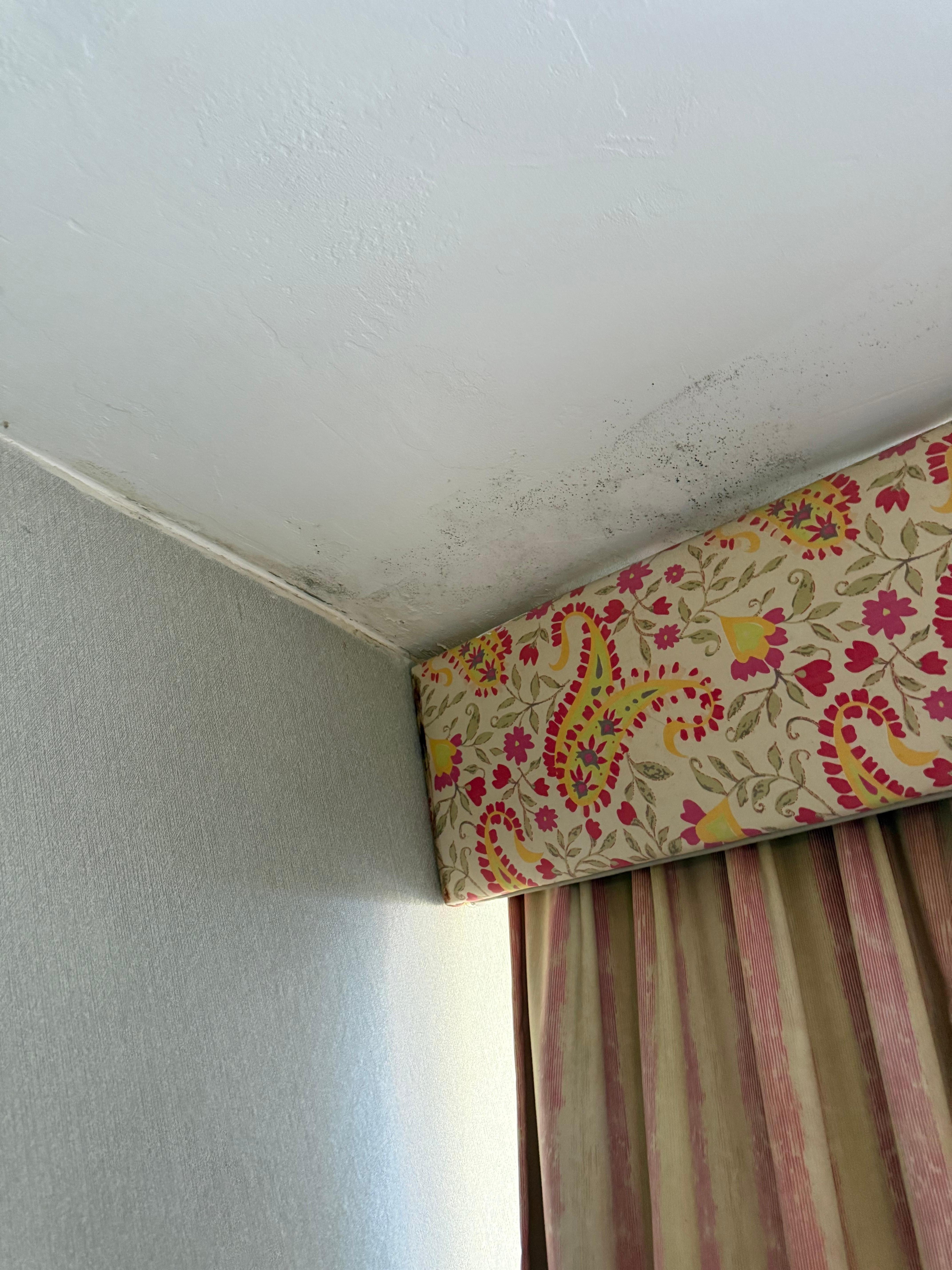 Mold on the ceiling