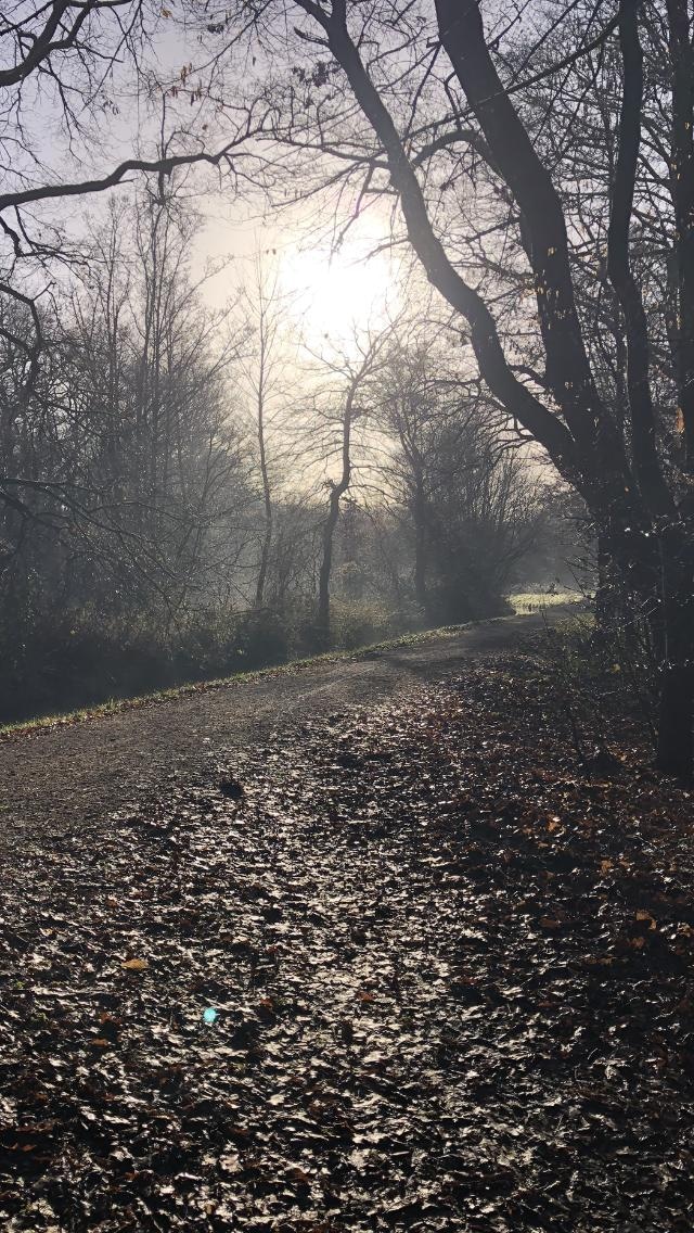 Wanderweg um die Seen