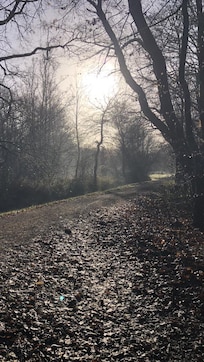 Wanderweg um die Seen