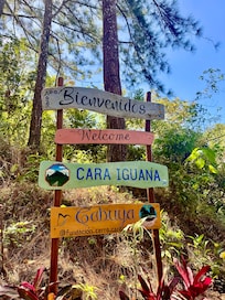 Inicio del
Sendero a cara iguana (requiere ir en vehículo 4x4 hasta el inicio del sendero).