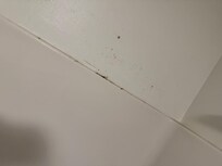 Mildew or mold on the shower ceiling