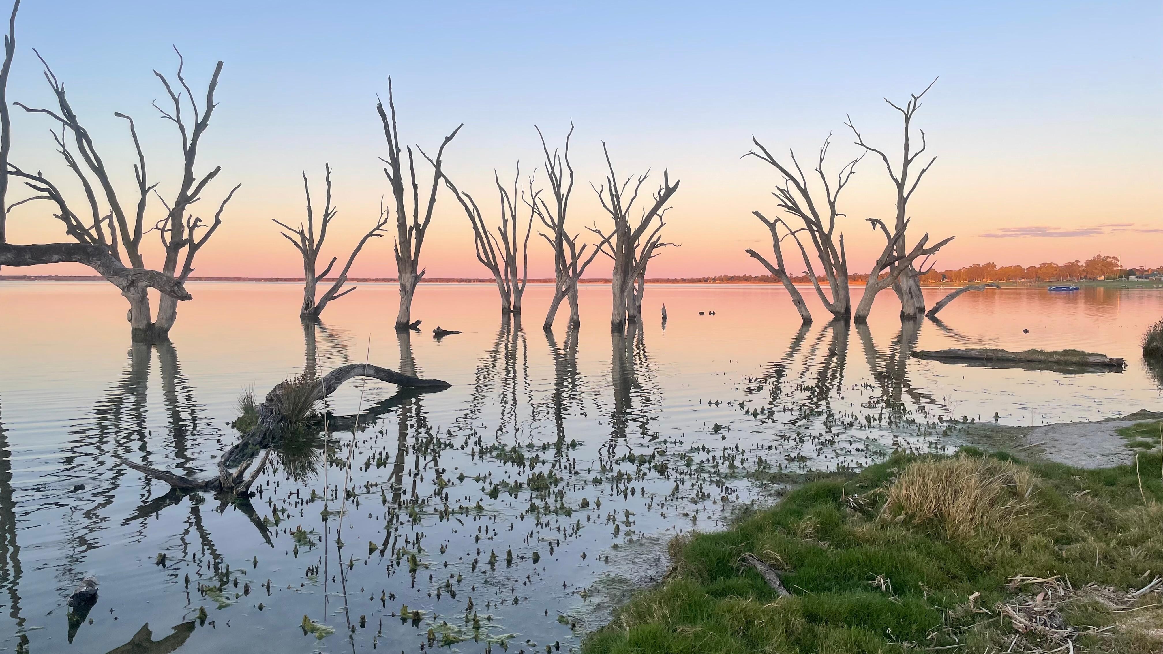 Just a short stroll from my cabin