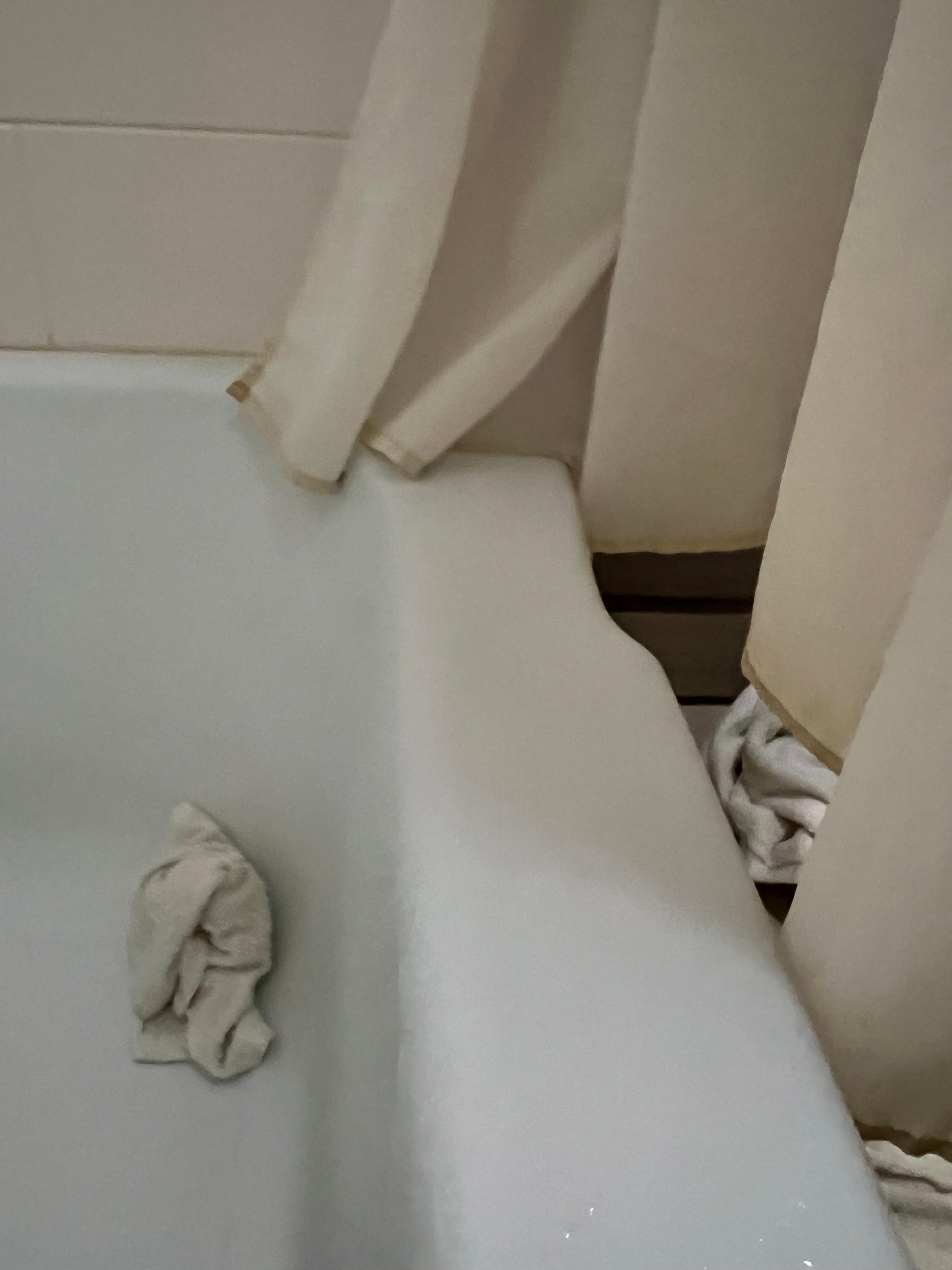 short shower curtain