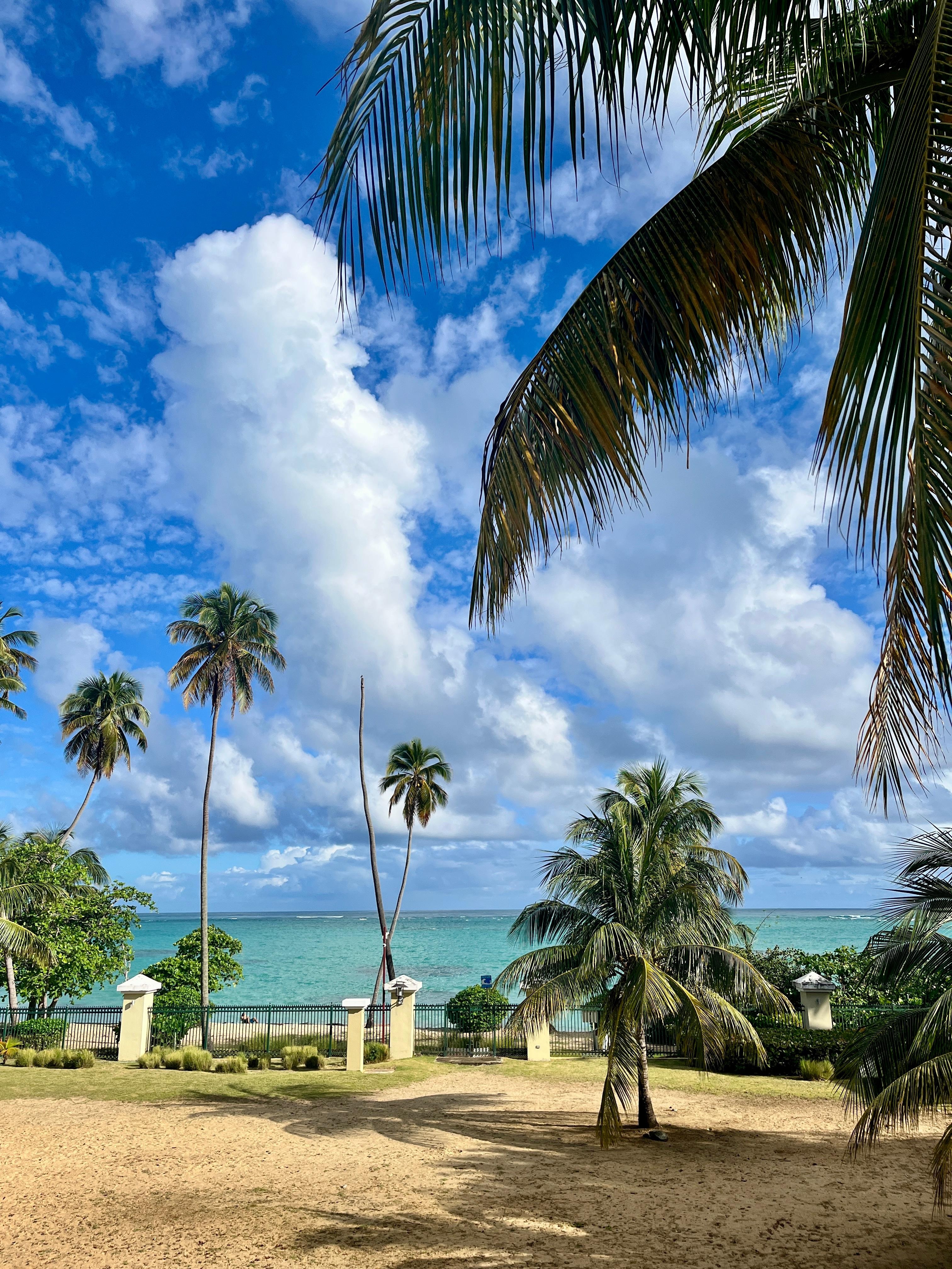 Ocean view and immediate beach front access. 