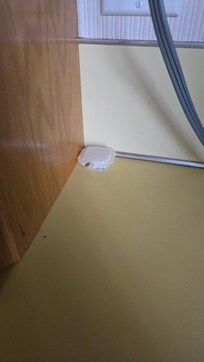 Sugar ants trap