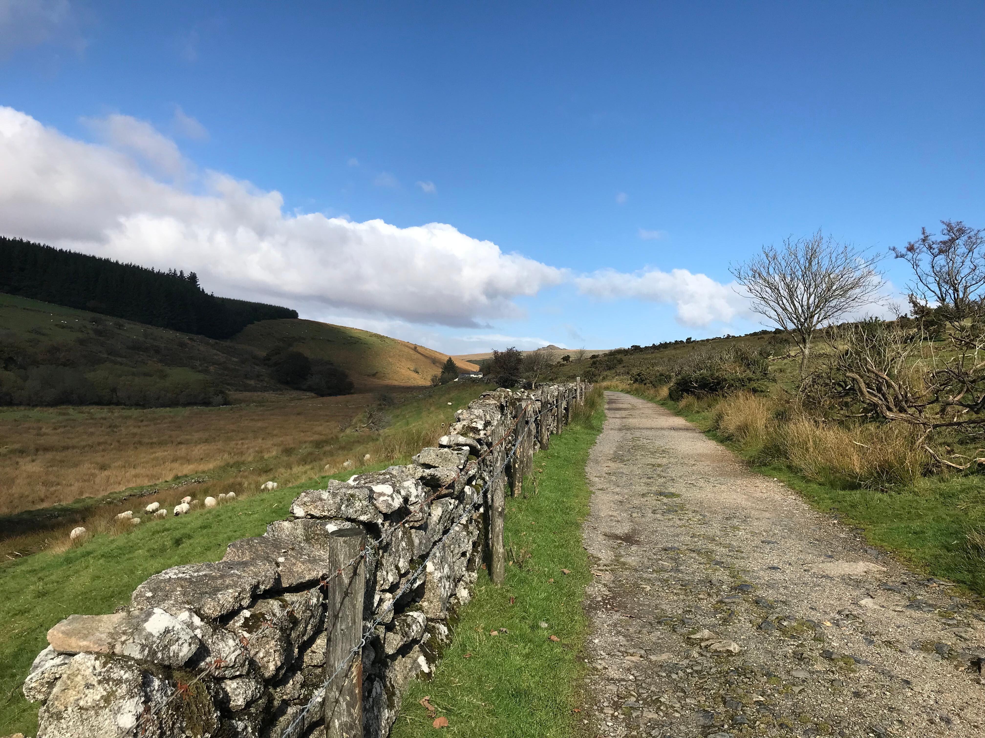Towards Crockern Tor