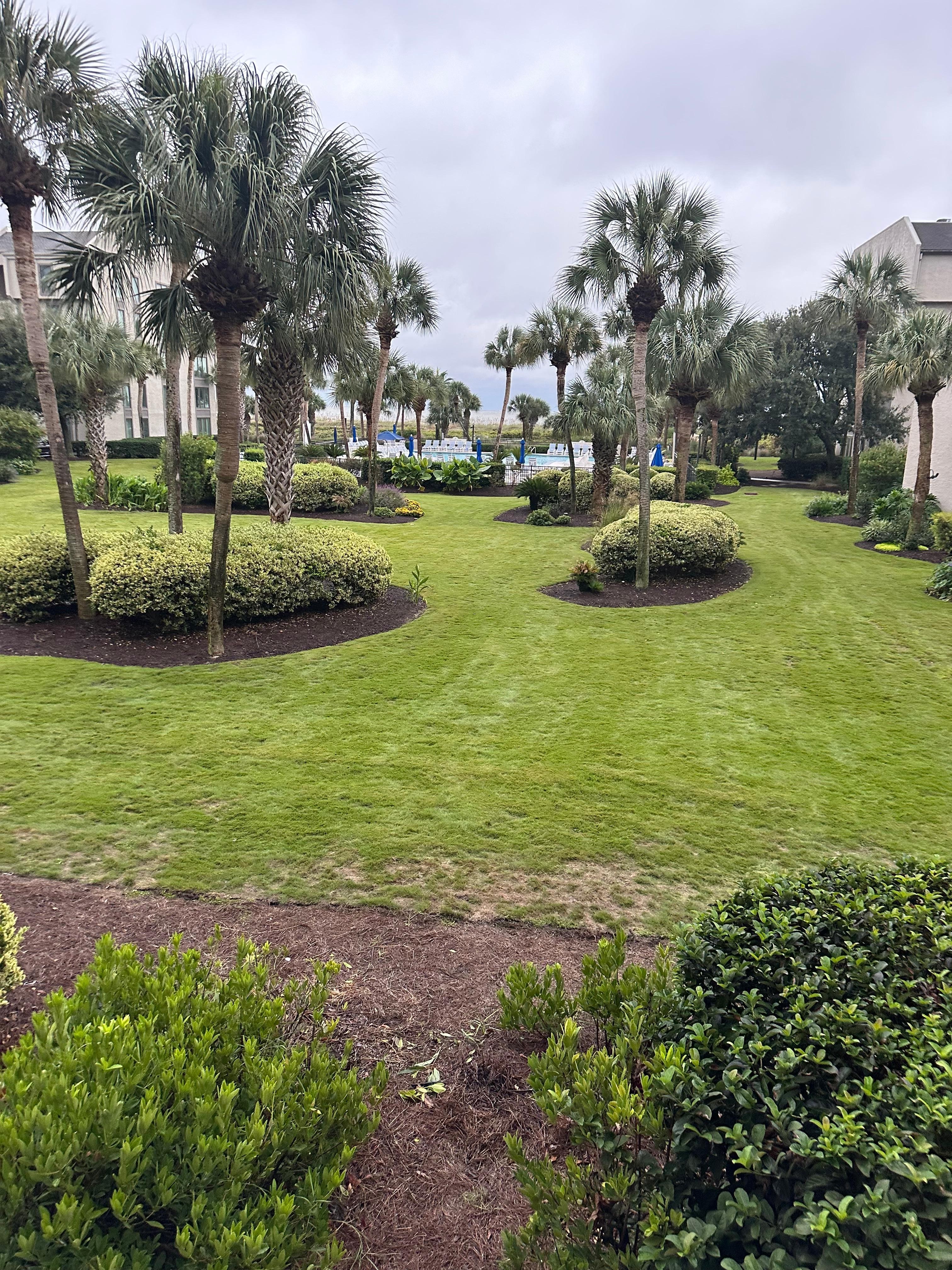 View from the balcony 