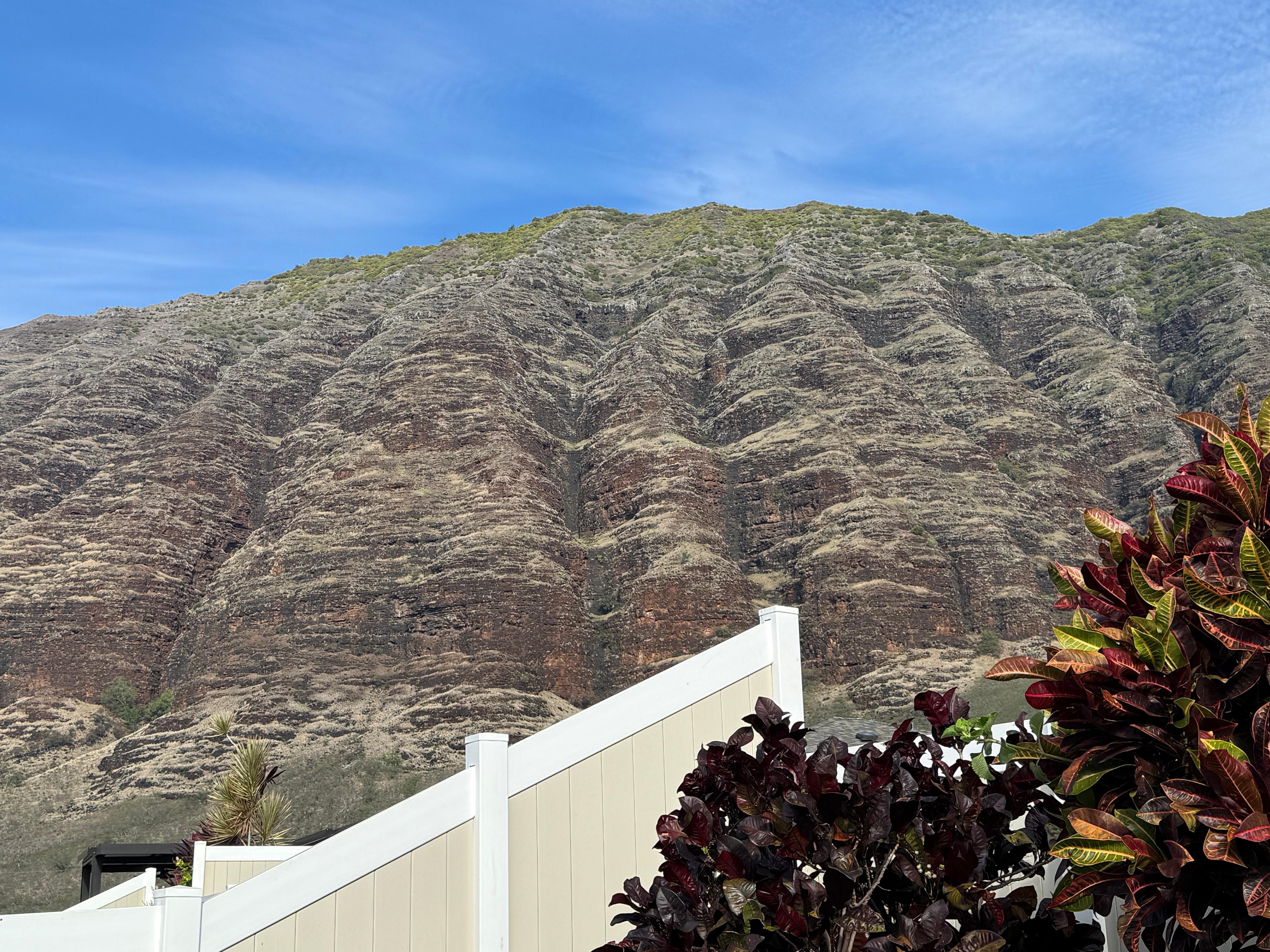 View from the backyard 