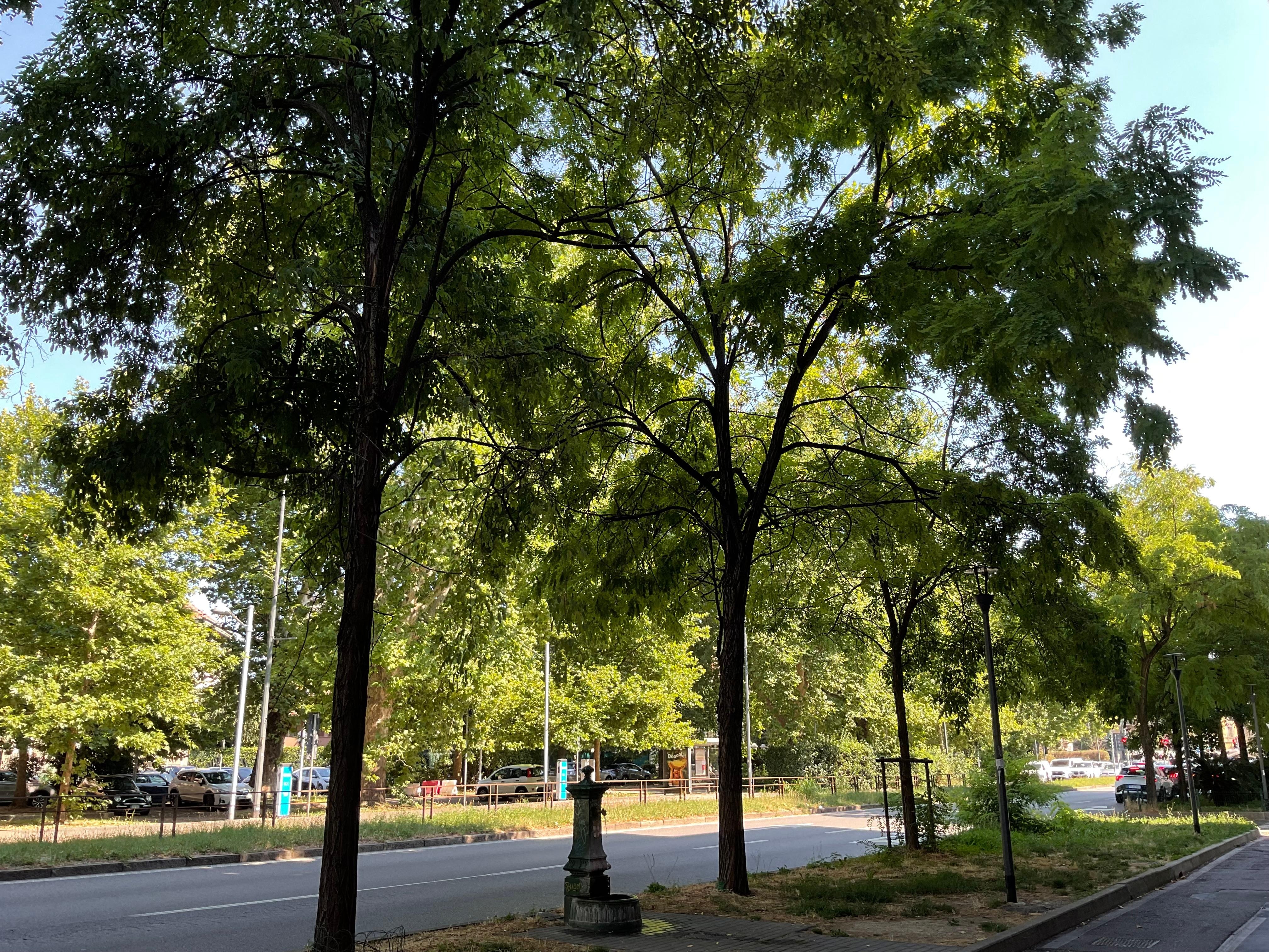 ホテル側の雰囲気