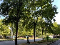 ホテル側の雰囲気