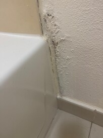 The restroom next to the tub