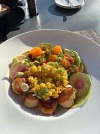 My scallops (tender and delish!)