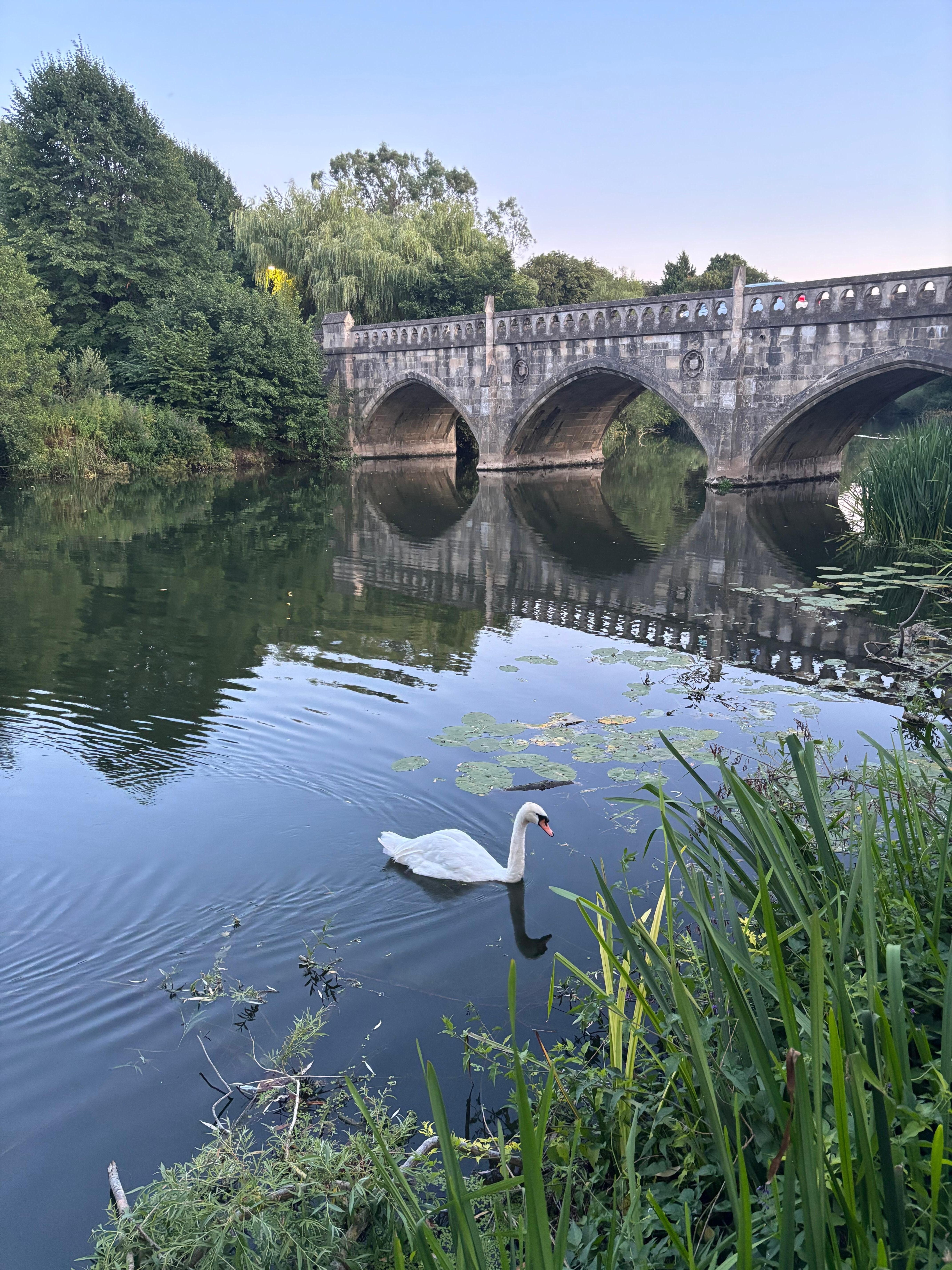 Beautiful river view from garden