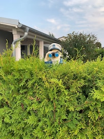 Big brother is watching you!