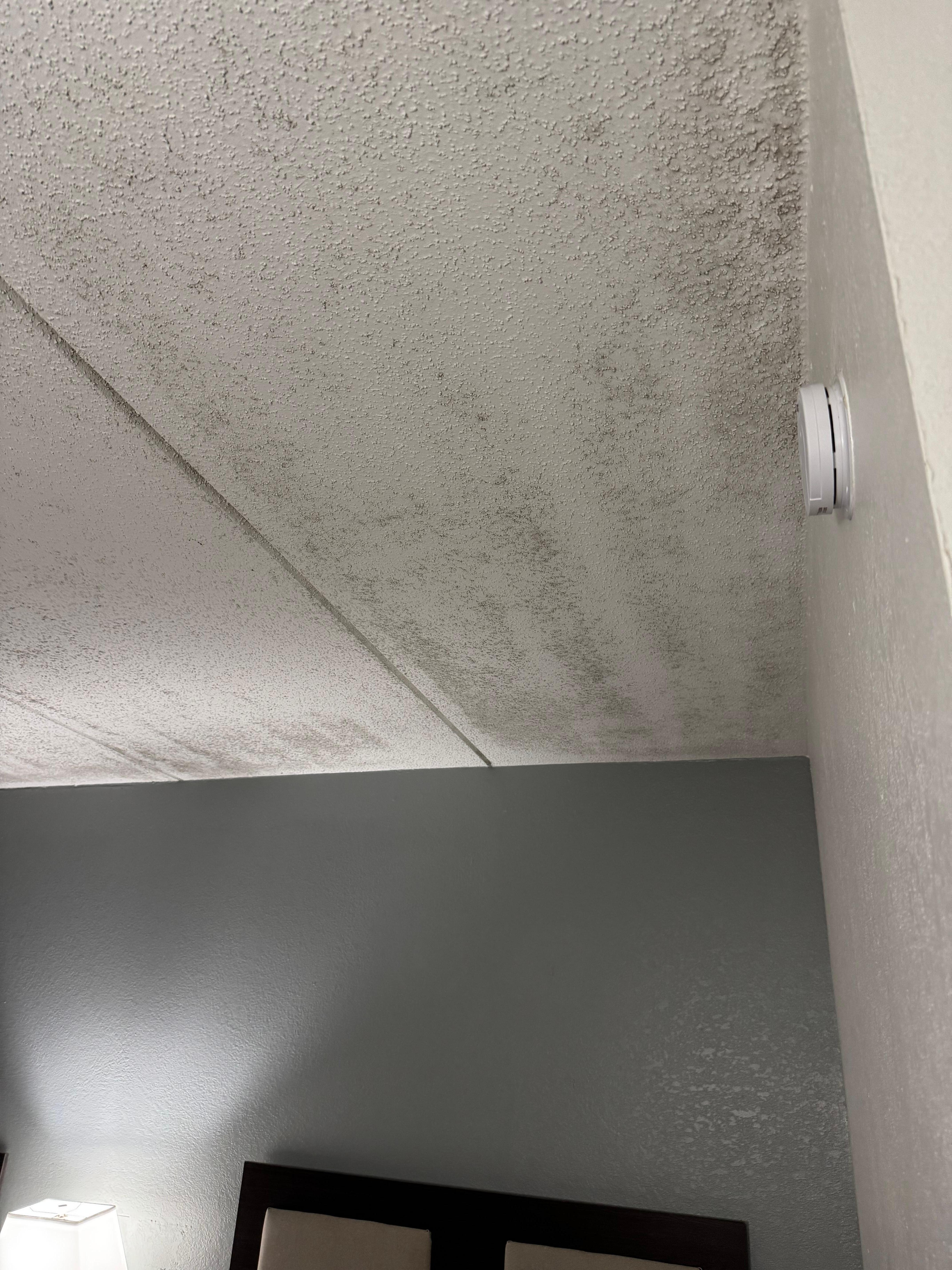 Mold