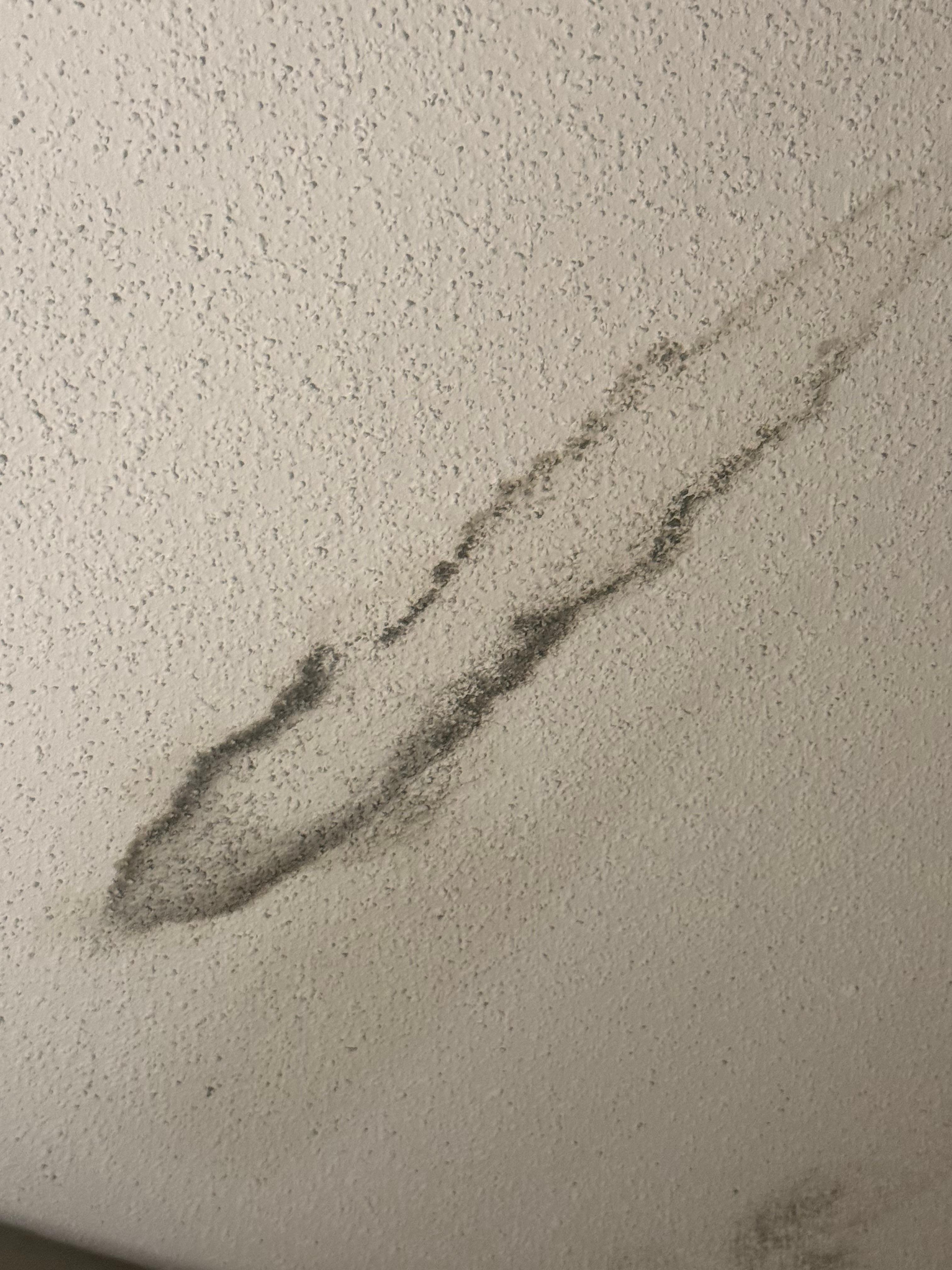 Plafond de la chambre comme ça à la grandeur.